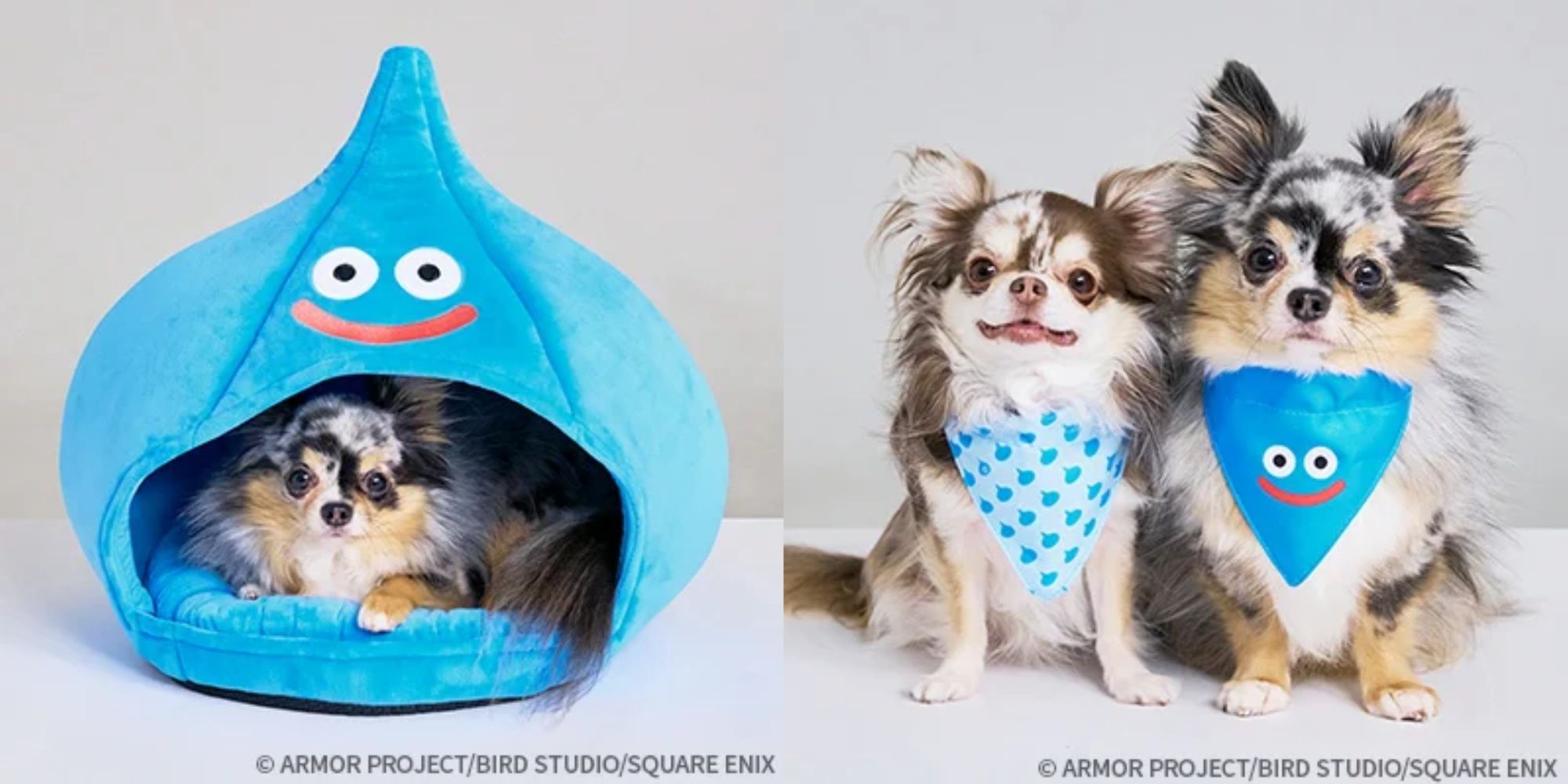 Split images of dogs in a Dragon Quest slime bed and wearing Dragon Quest bandanas