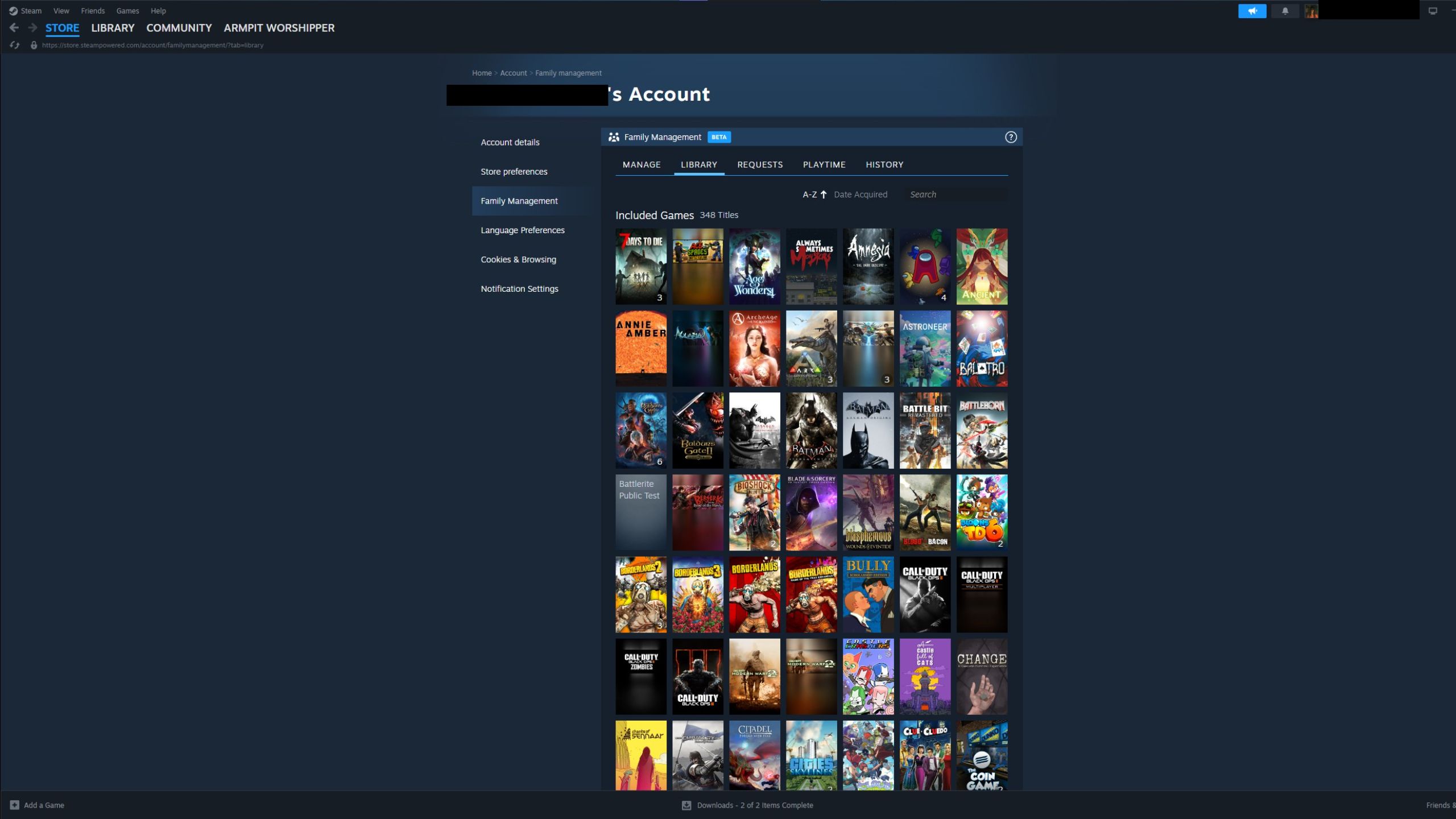 An image from Steam Family of the Game Library List, which showcases all the games everyone in your family owns