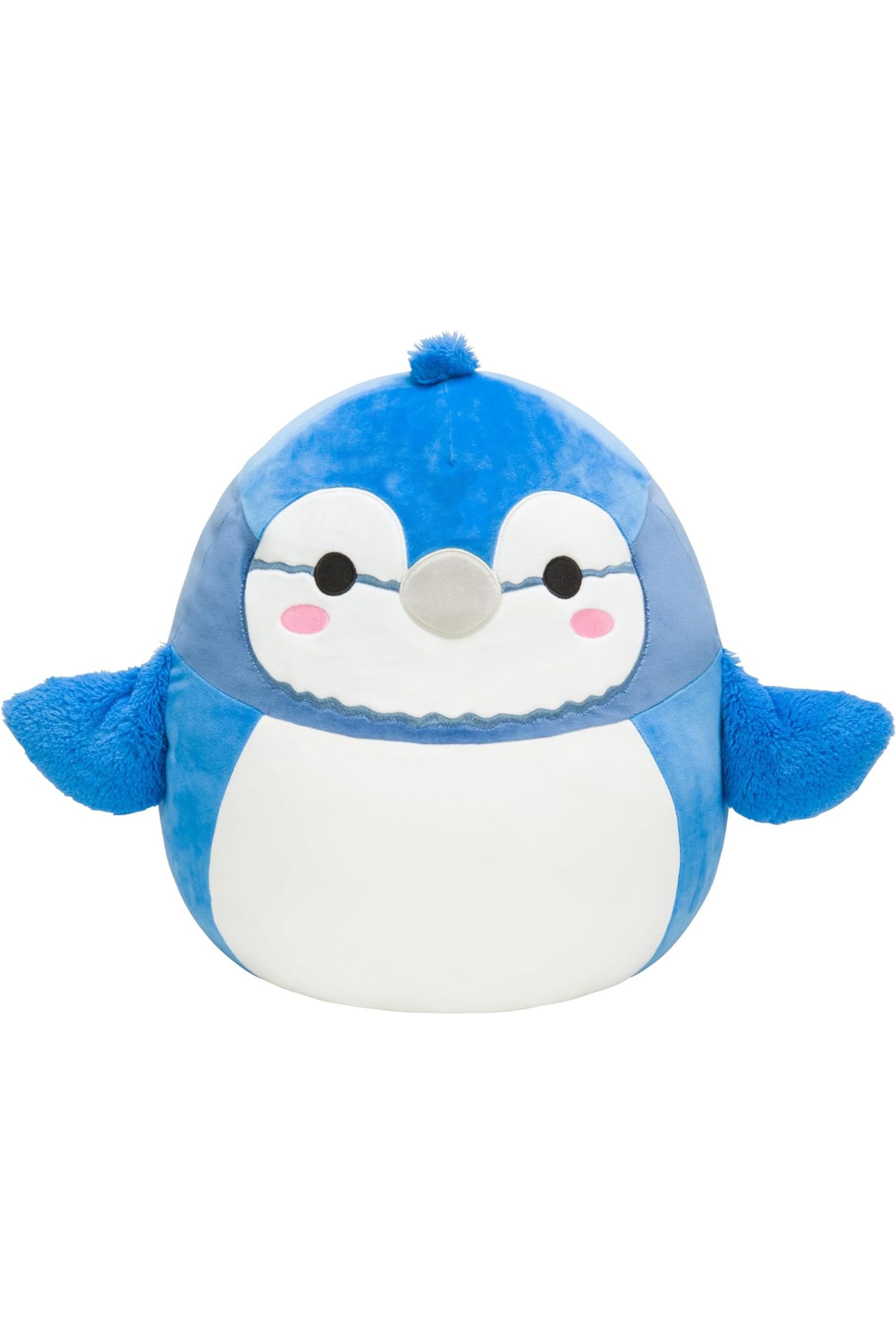 Babs The Blue Jay Squishmallow