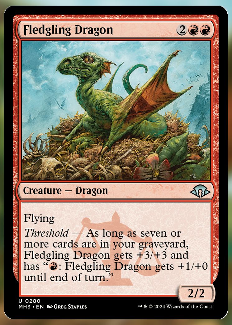 Fledgeling Dragon