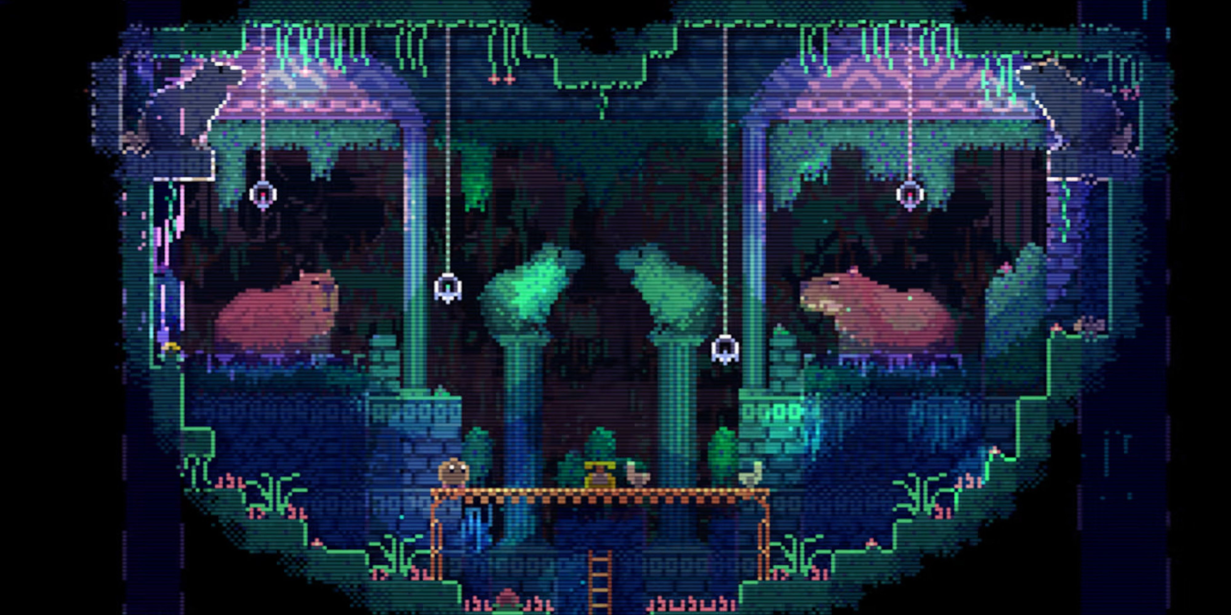 heart-shaped level in animal well