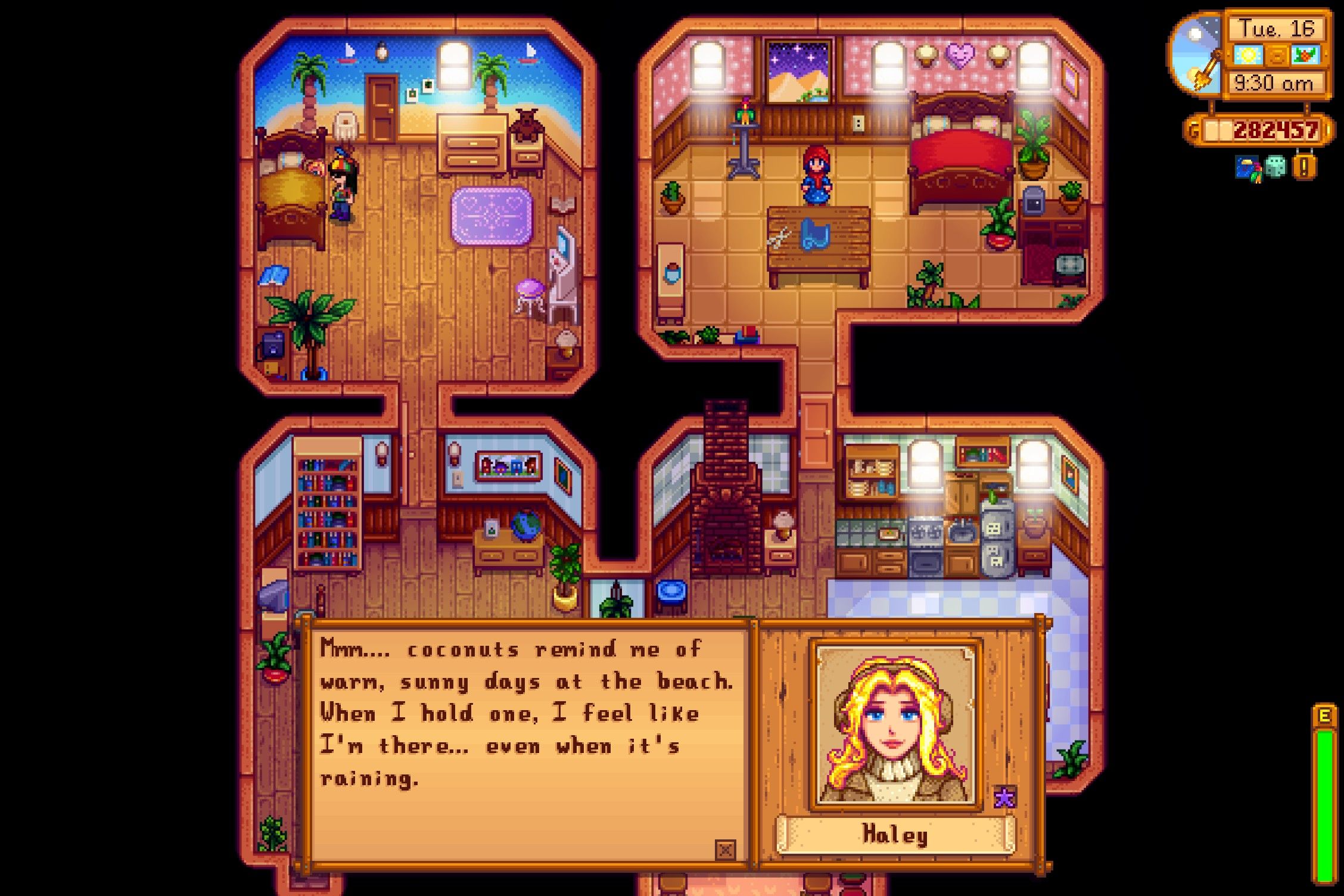 giving haley a coconut in stardew valley