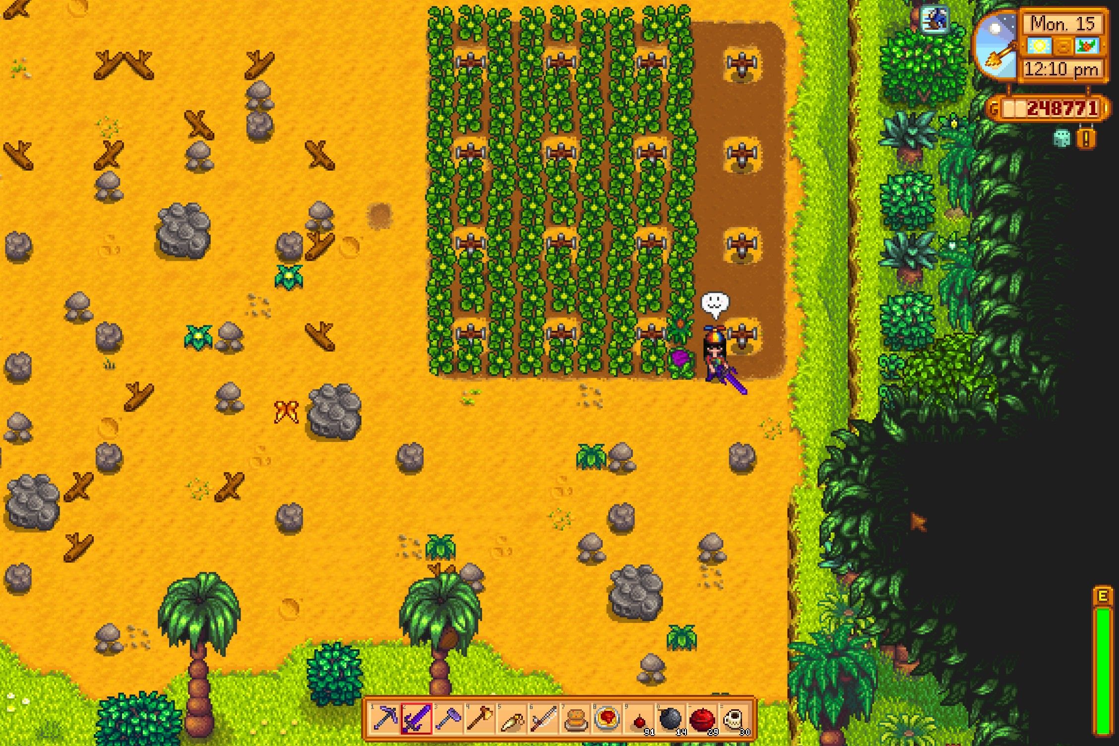 growing a red cabbage on ginger island in stardew valley