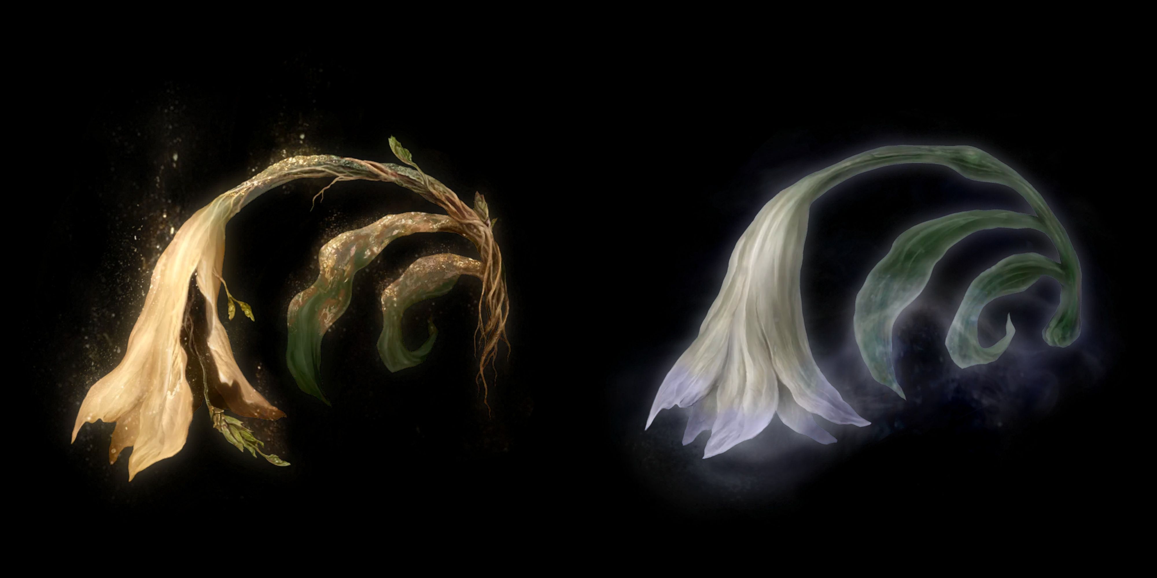 Miquella's Lily and Trina's Lily Elden Ring