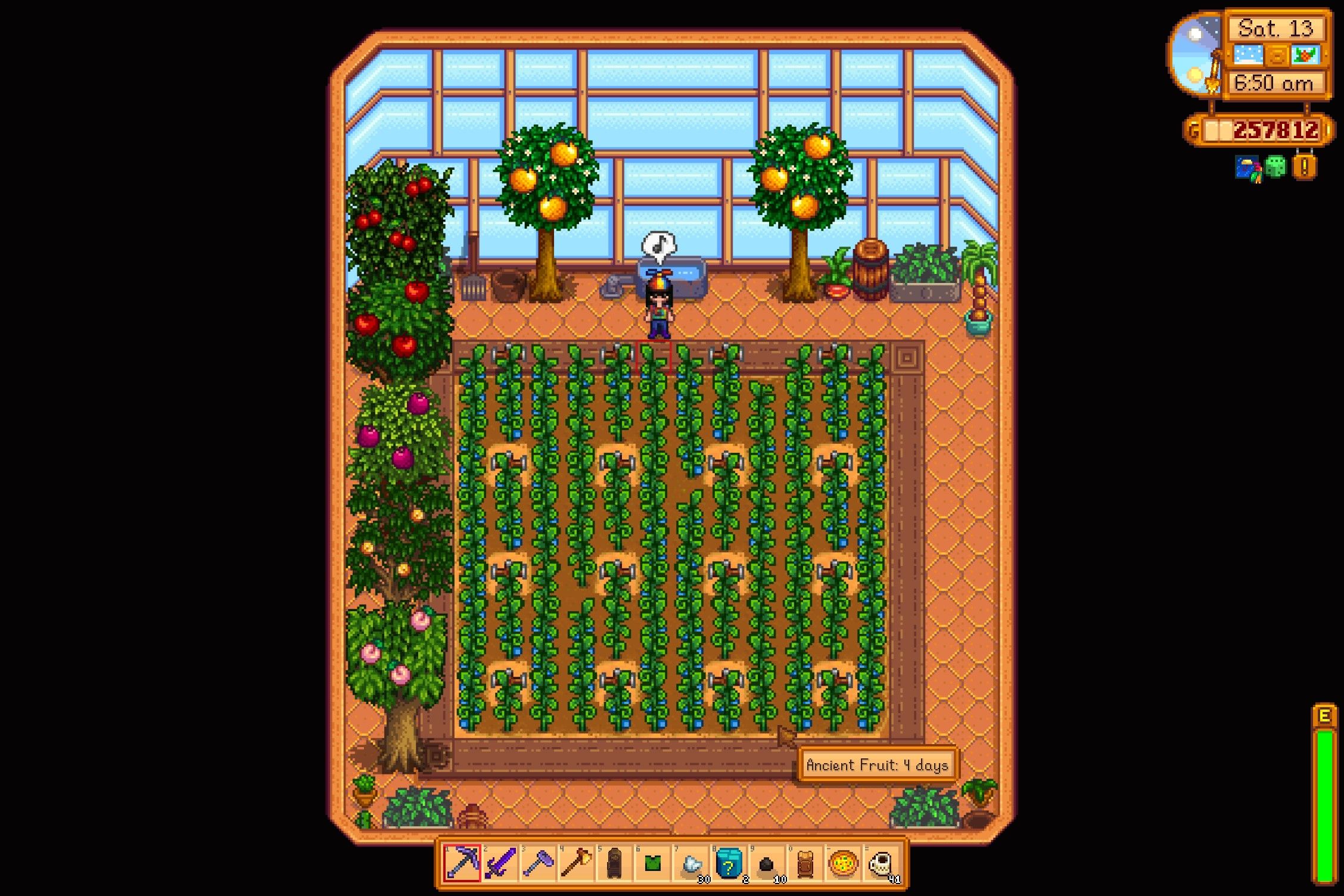 the farmer in the greenhouse full of ancient fruit plants in stardew valley
