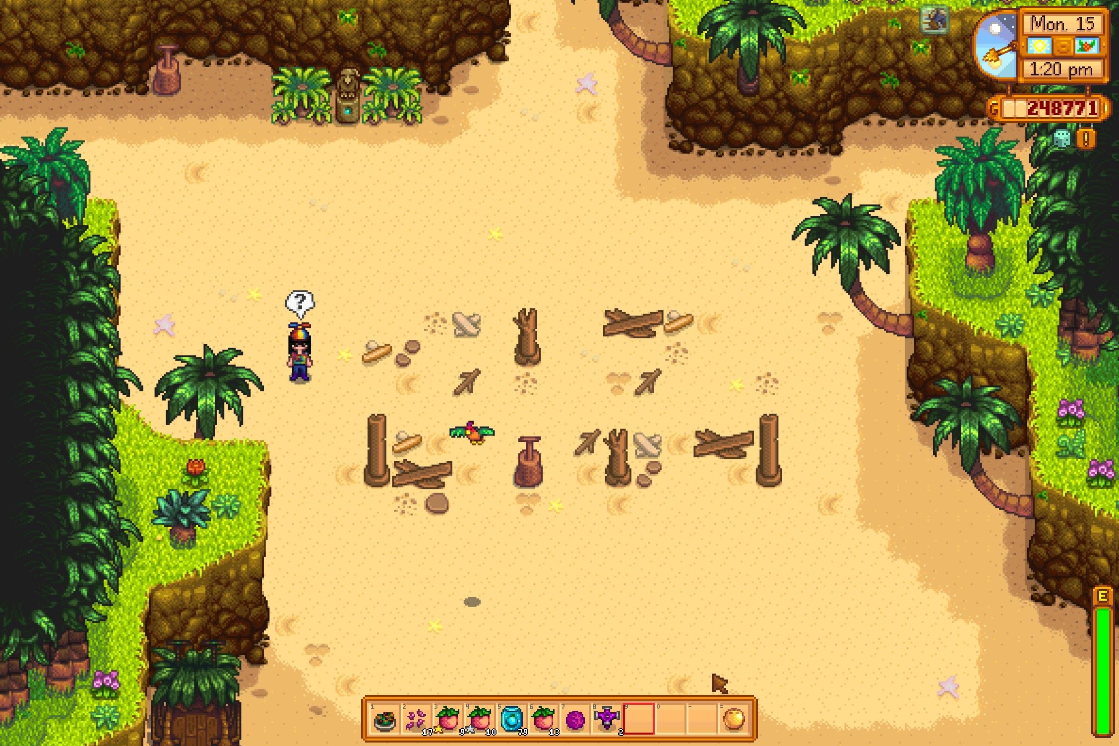 the resort when you first get to ginger island in stardew valley