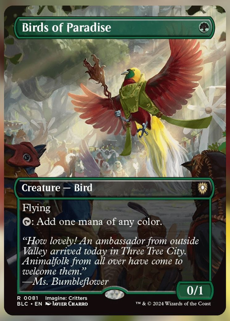 Birds of Paradise