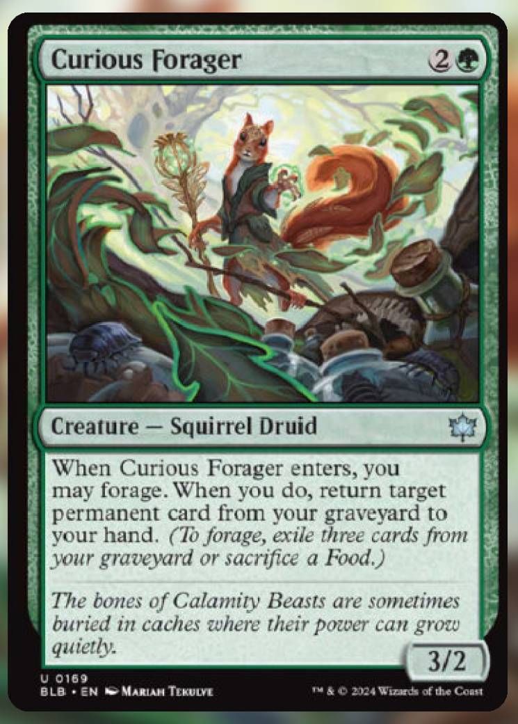 Curious Forager