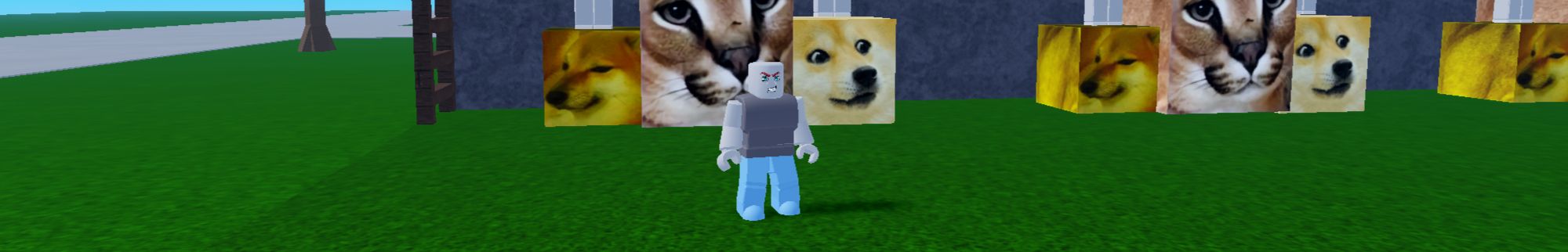 a player in Meme Sea on Roblox