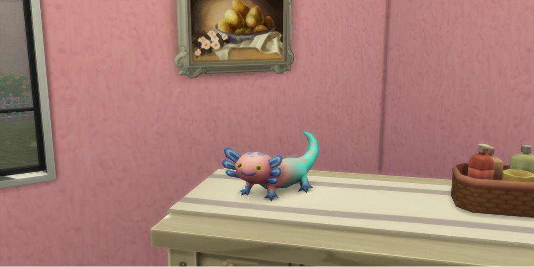 A cute little axolotl toy. It is multicolored.