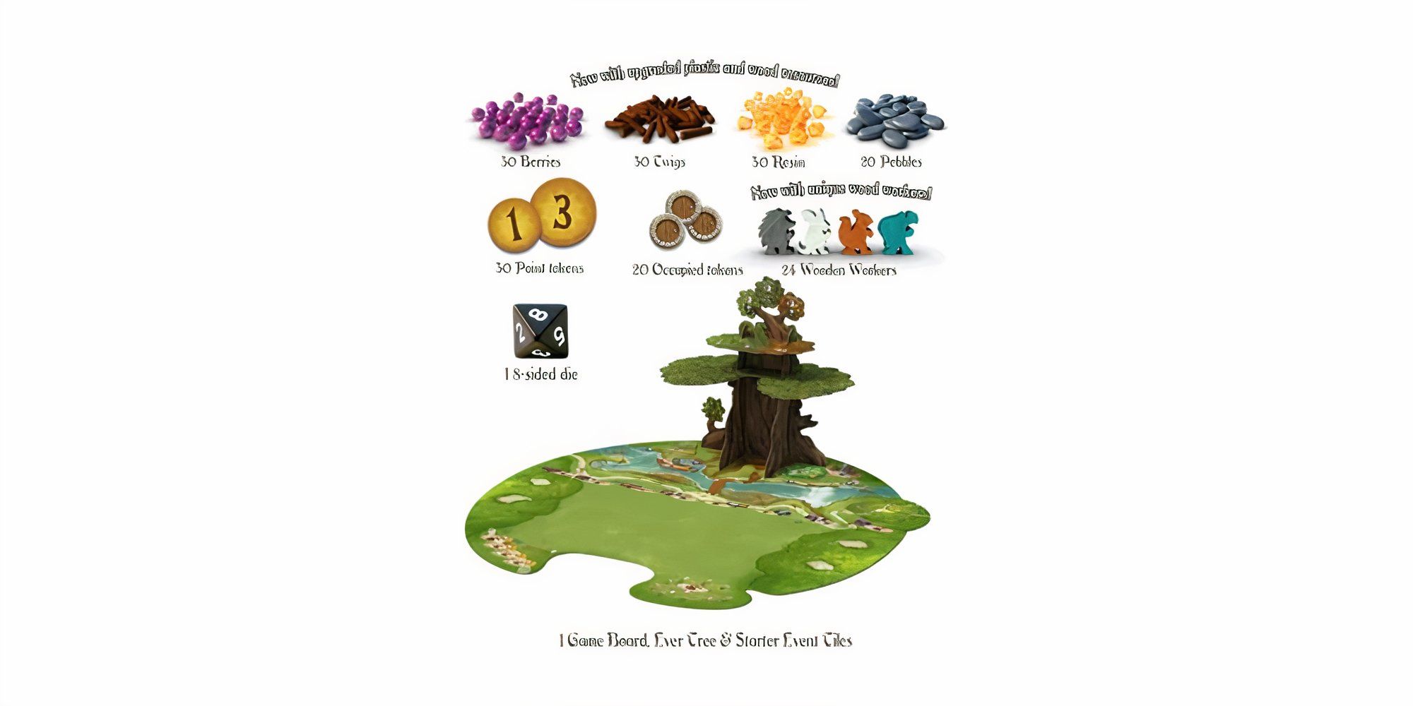 Everdell board and components