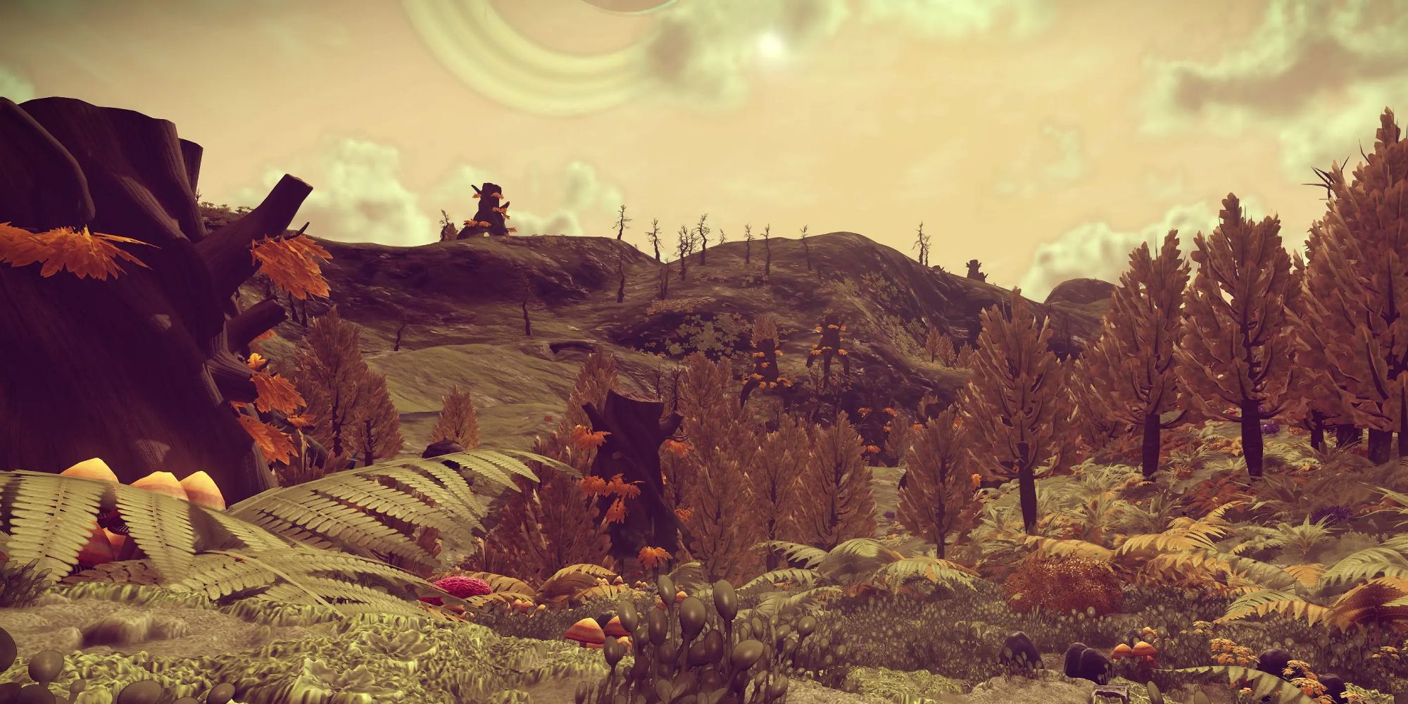 Looking over a diverse planet surface in No Man's Sky.