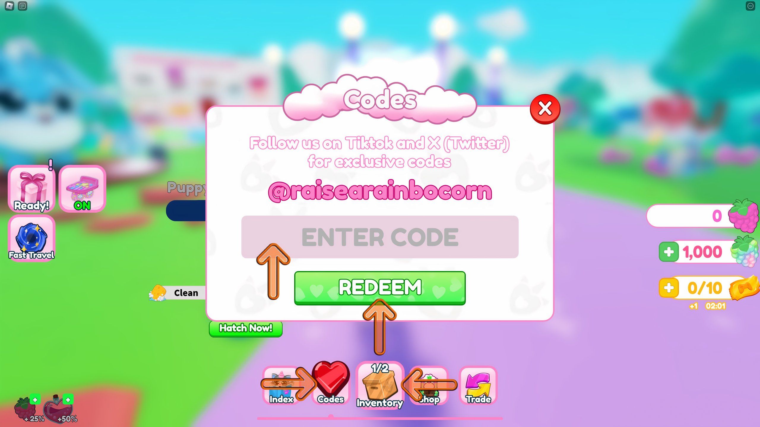 the codes box in Raise a Rainbocorn on Roblox