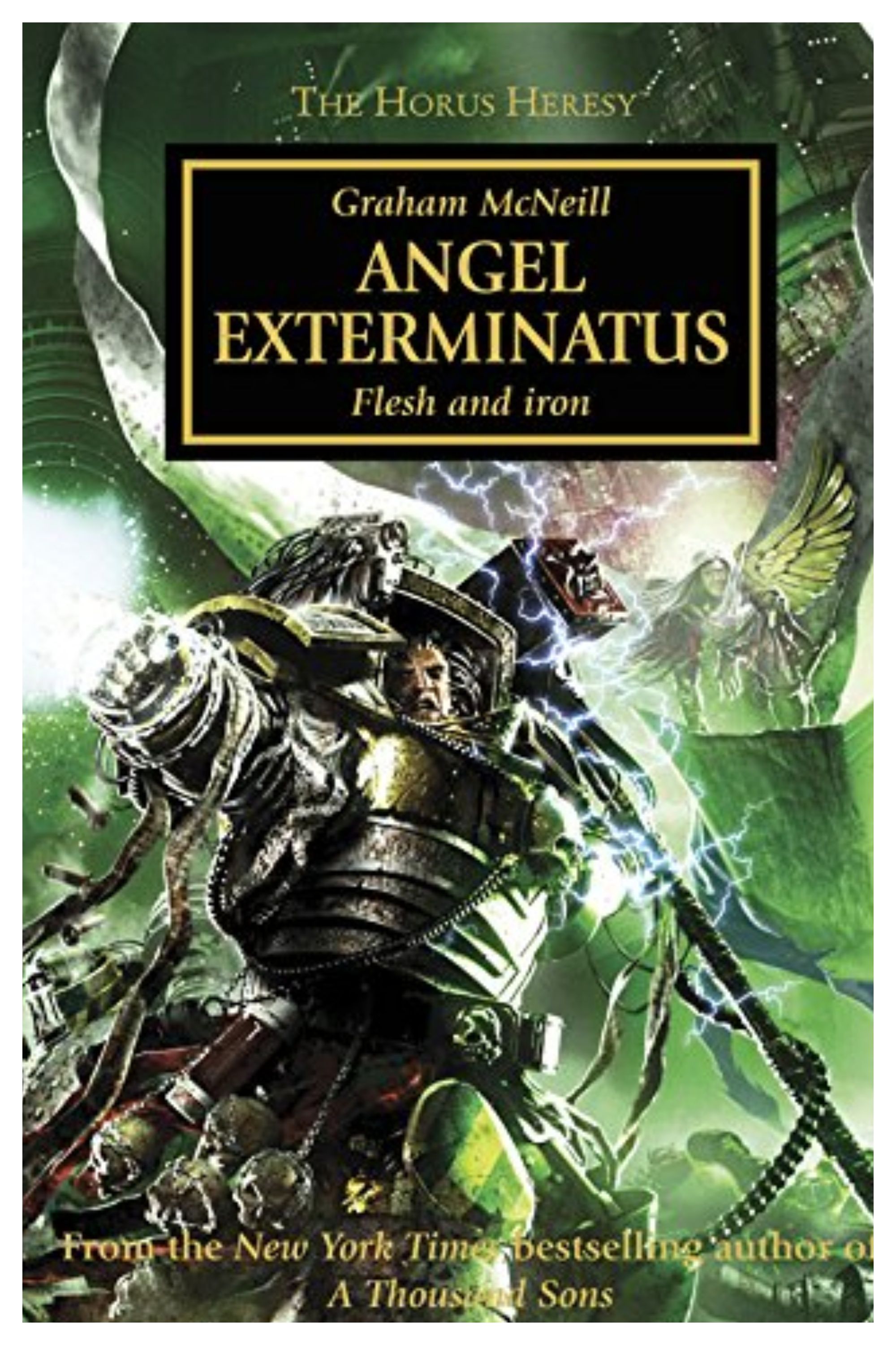 The cover of Graham McNeill's Angel Exterminatus: Flesh and Iron.