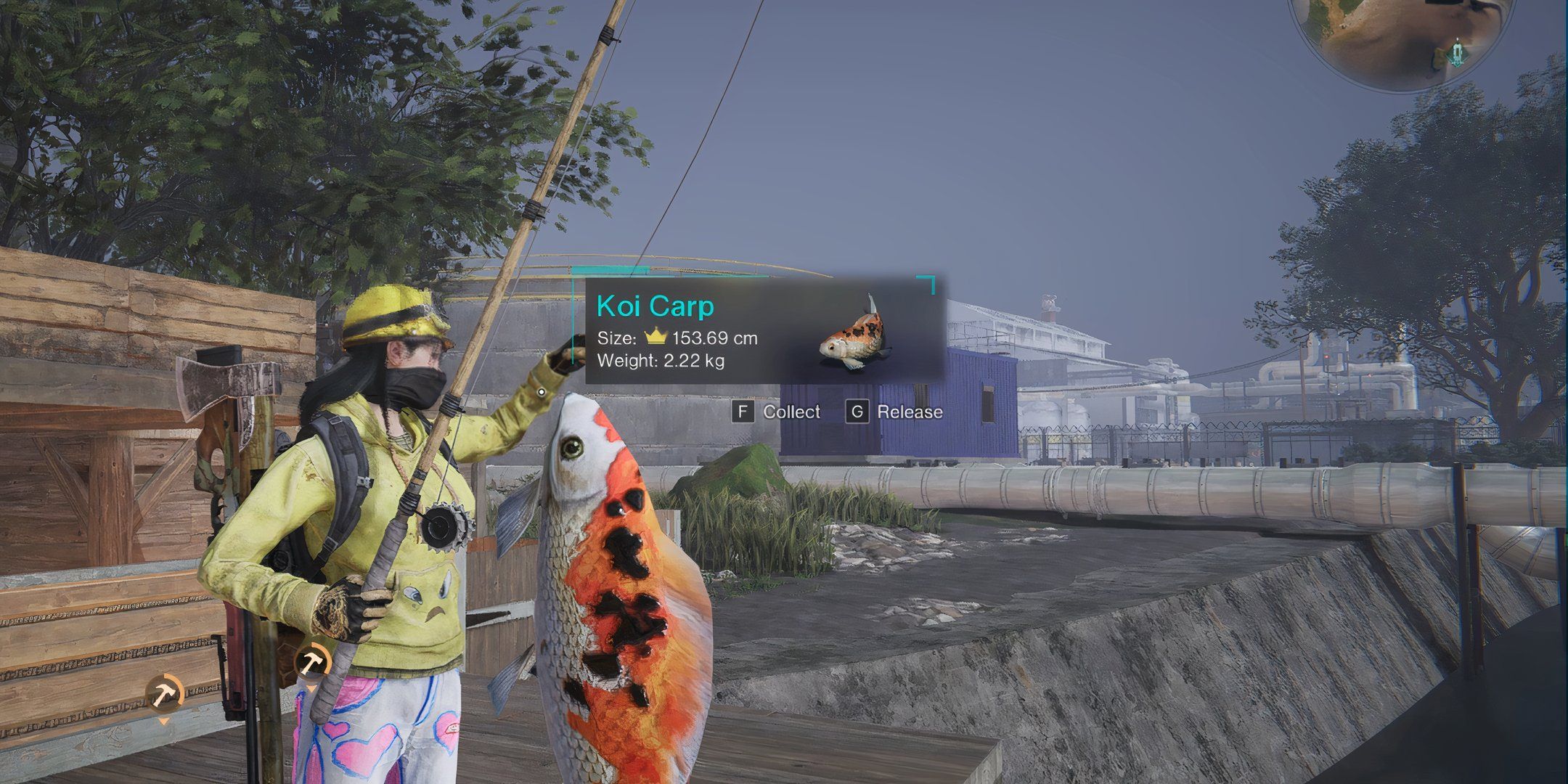 Catching an Koi Carp in Chalk Peak in Once Human.