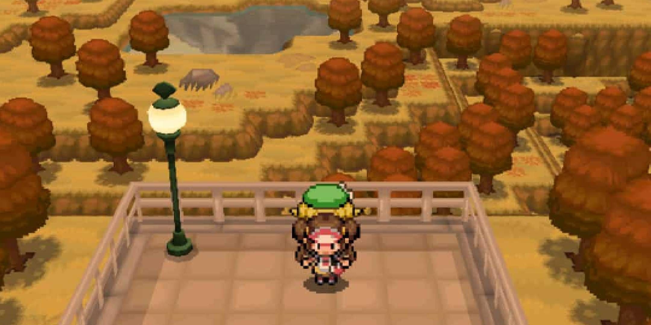 Hilda looking over the world in Pokemon Black.