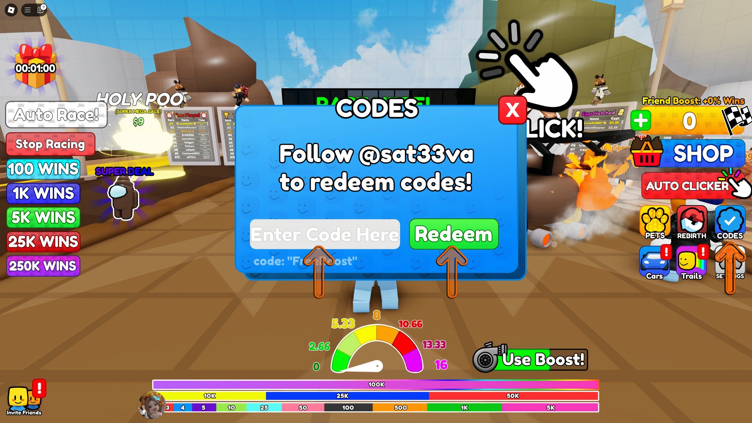 the codes box in Poo Race on Roblox