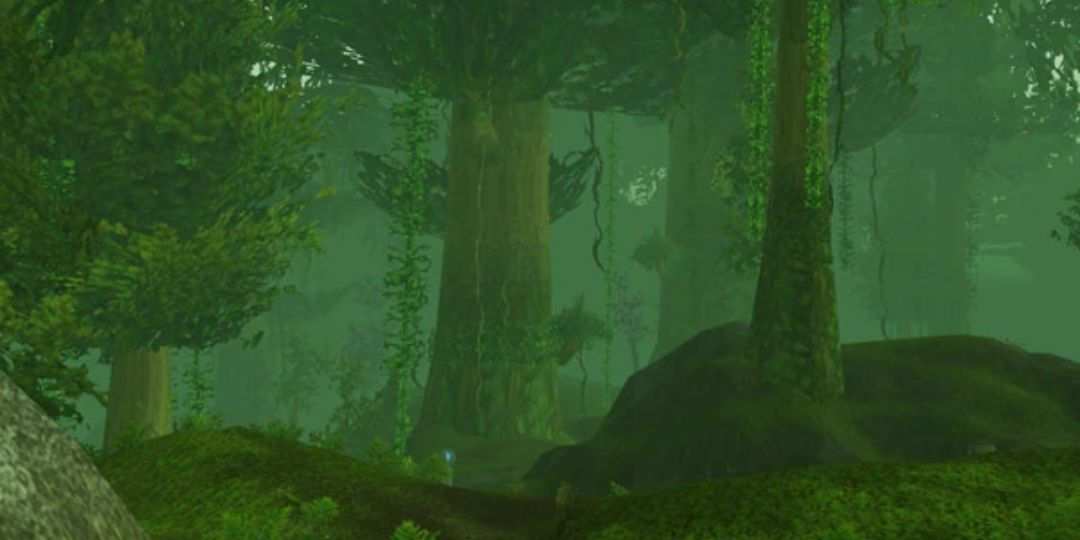The green woods of Feralas are shown.