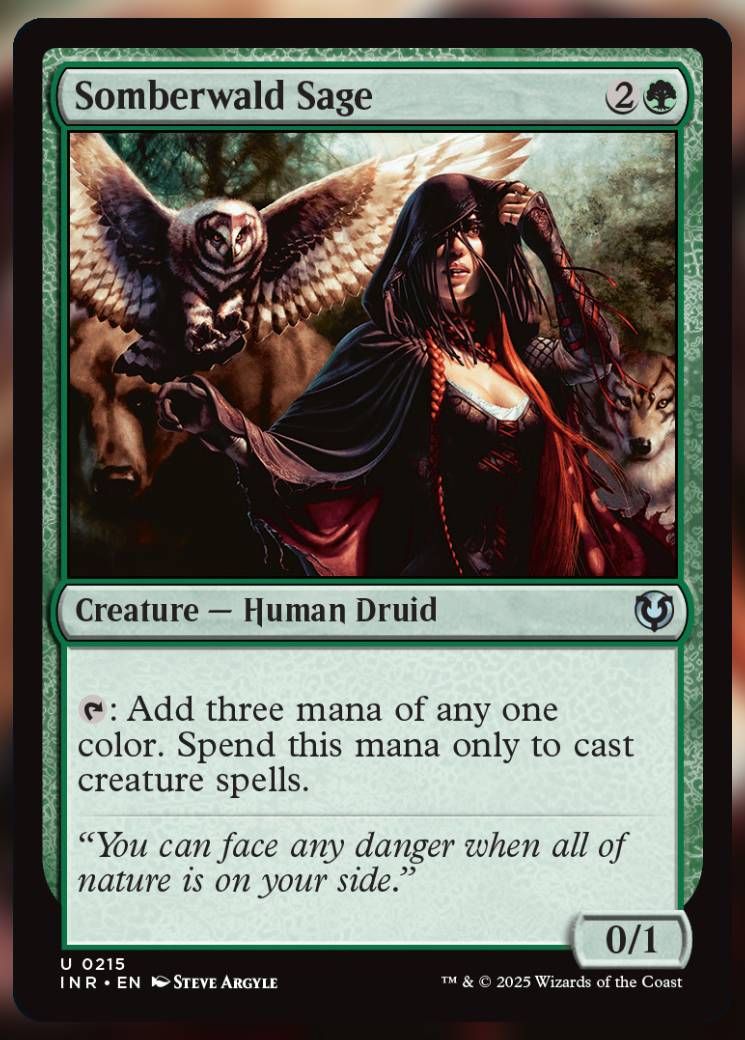 Magic The Gathering Somberwald Sage Card.