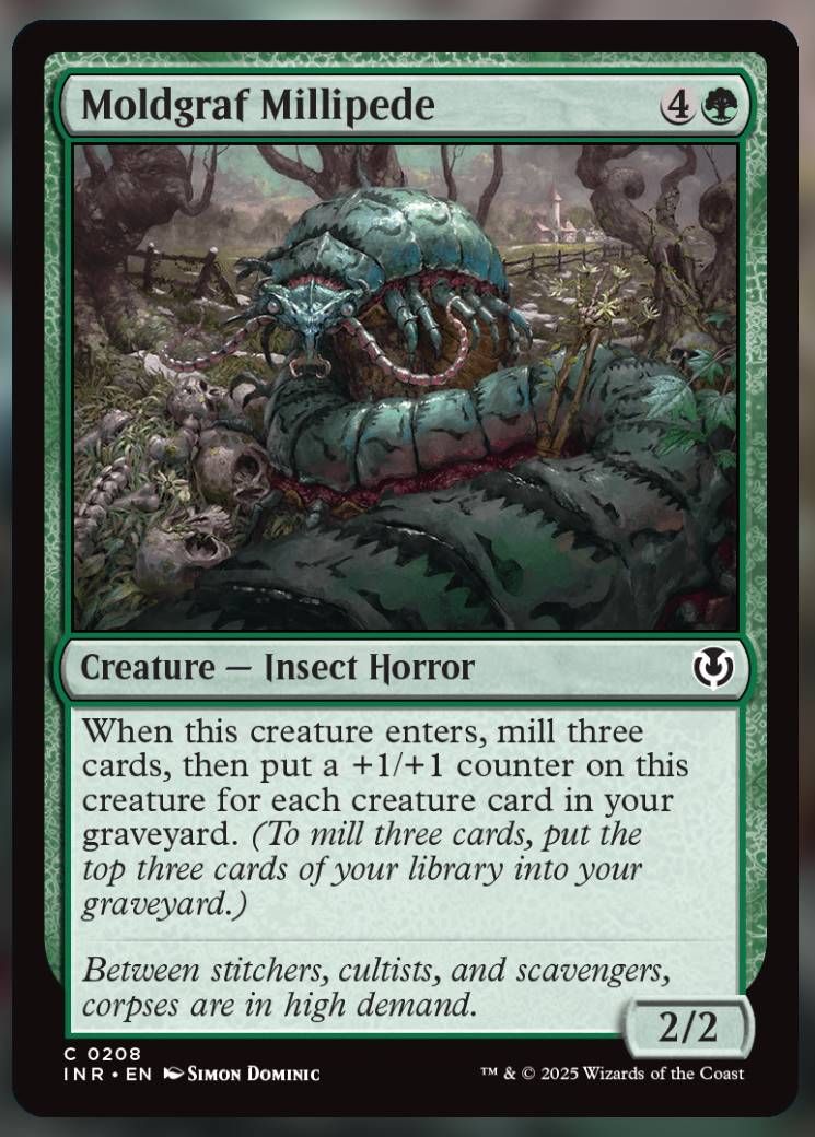 Moldgraf Millipede