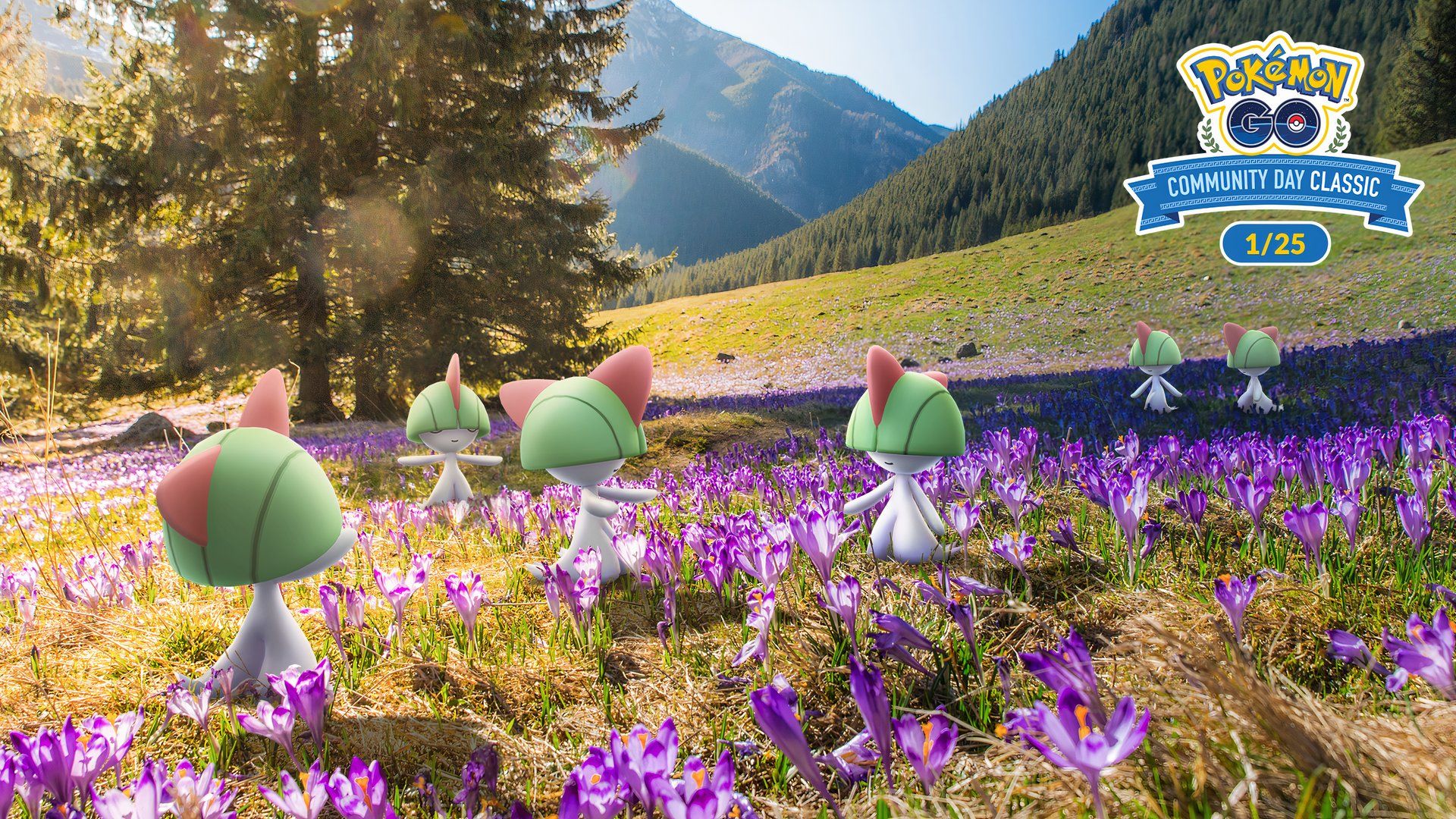 Image of six different Ralts in a flowery field.