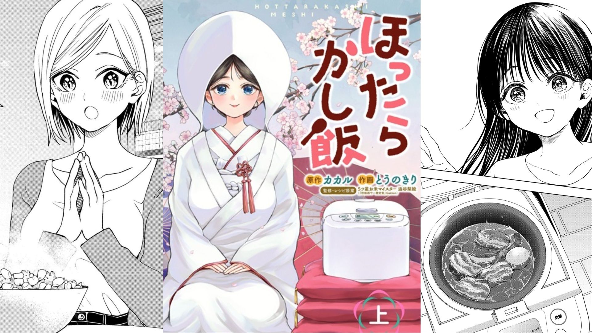 A showcase of the cover art of the first volume and some of the panels within for the Set It and Forget It Manga.