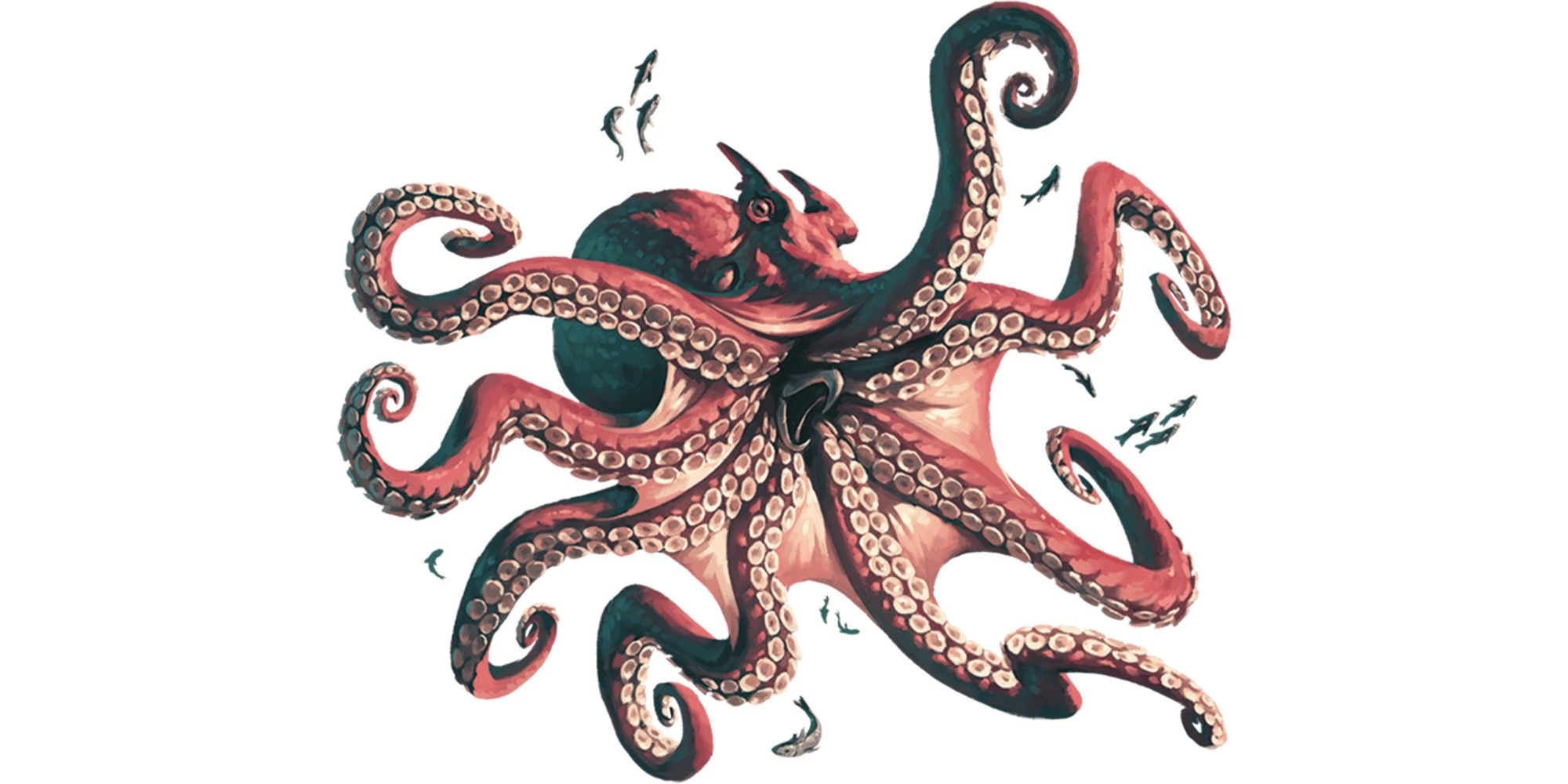 Dungeons & Dragons image showing an octopus.