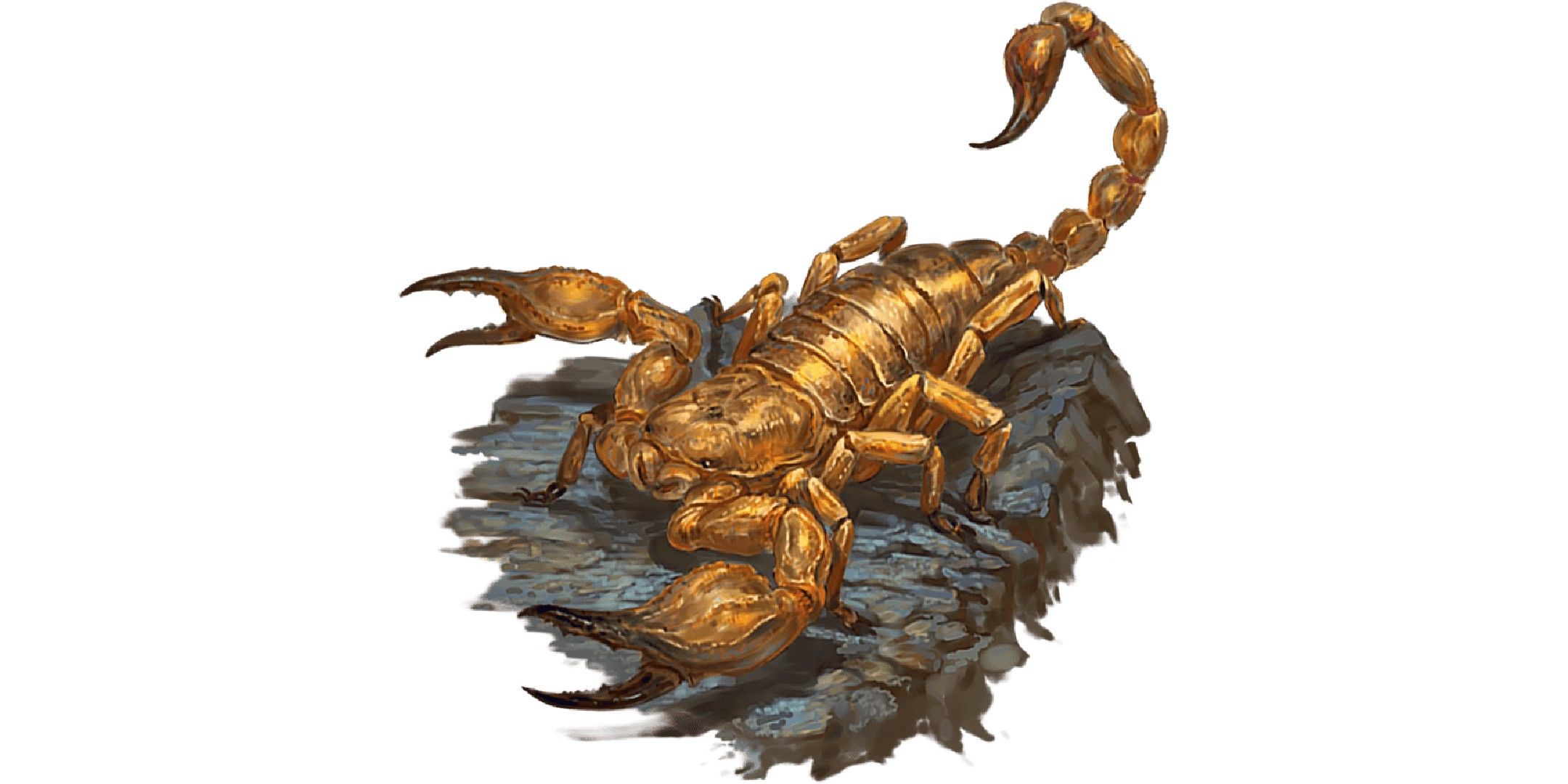 Dungeons & Dragons image showing a scorpion.