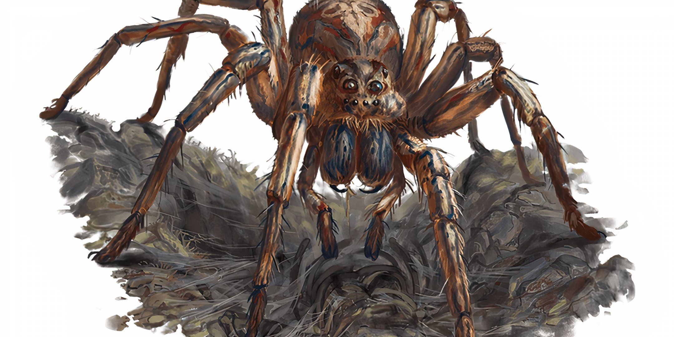 A giant wolf spider devouring a skeleton in Dungeons & Dragons. 