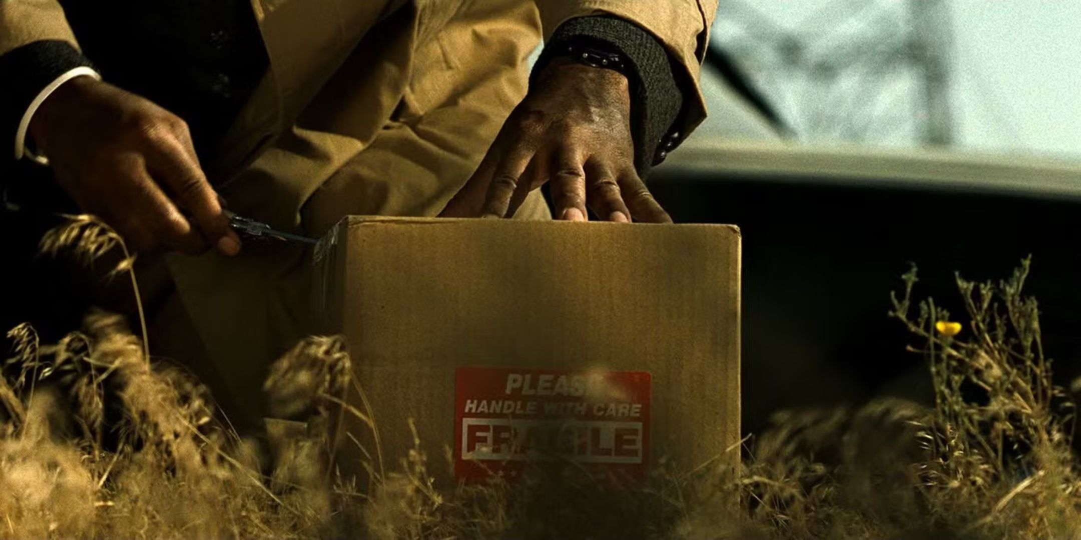 Somerset (Morgan Freeman) opens the box at the end of Se7en (1995)
