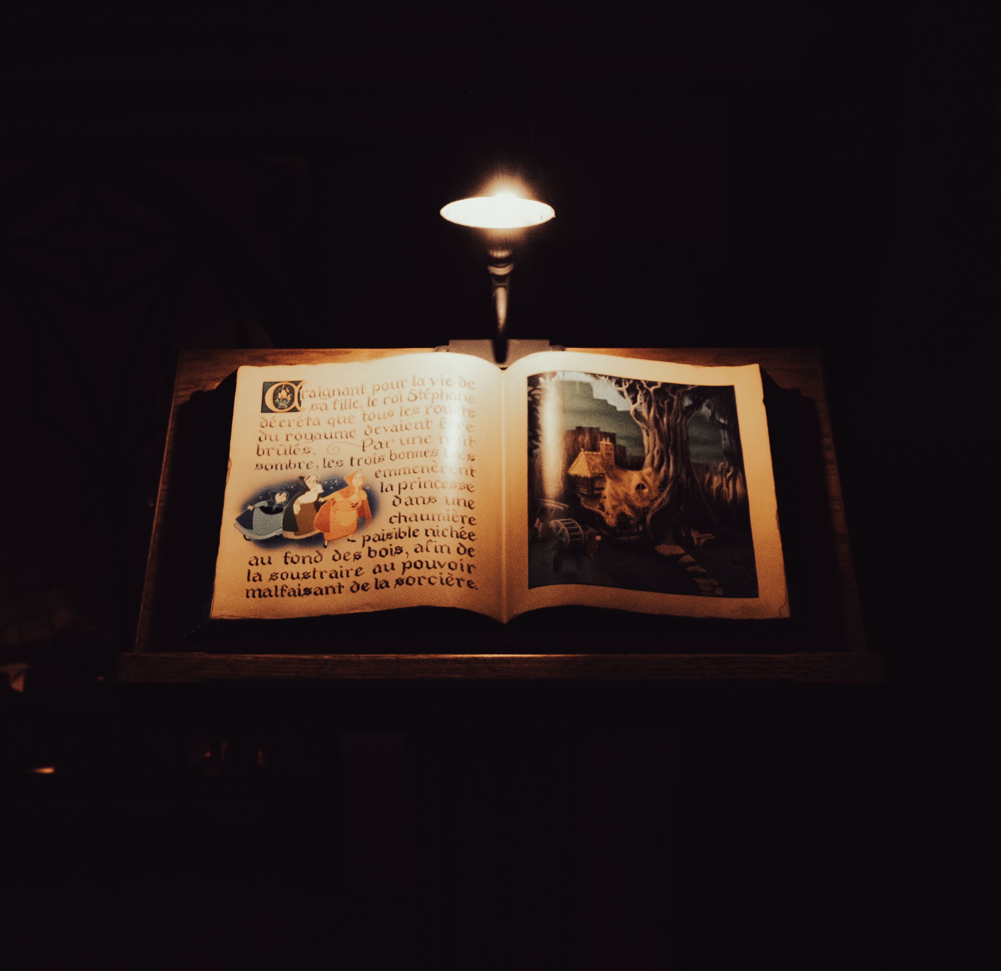 Sam Hallahan Photo Book Under A Light