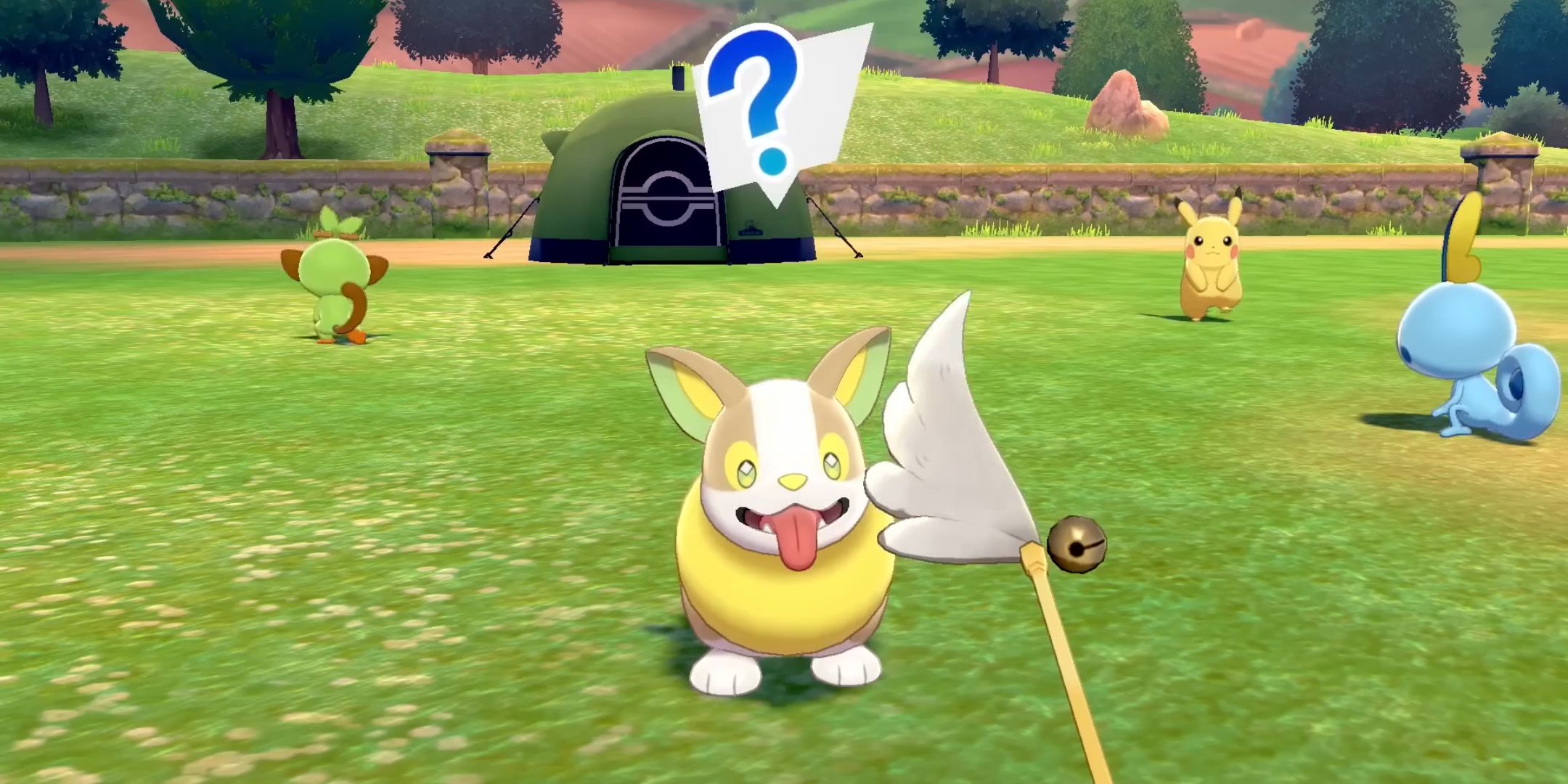 Playing with Yamper at camp with Pikachu, Sobble, and Grookey in the background in Pokemon Sword Shield.