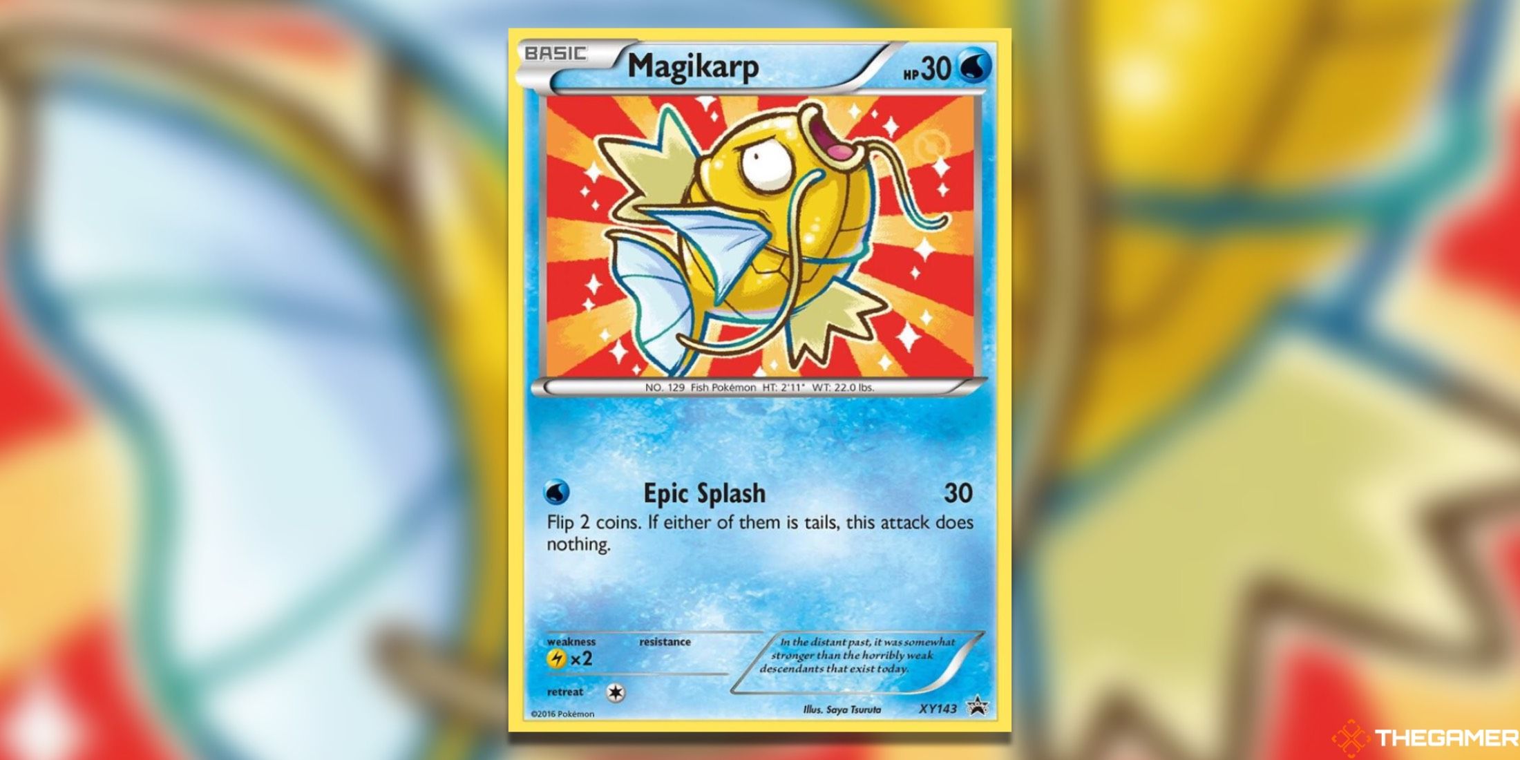 The Magikarp XY Promo from the Pokemon TCG.
