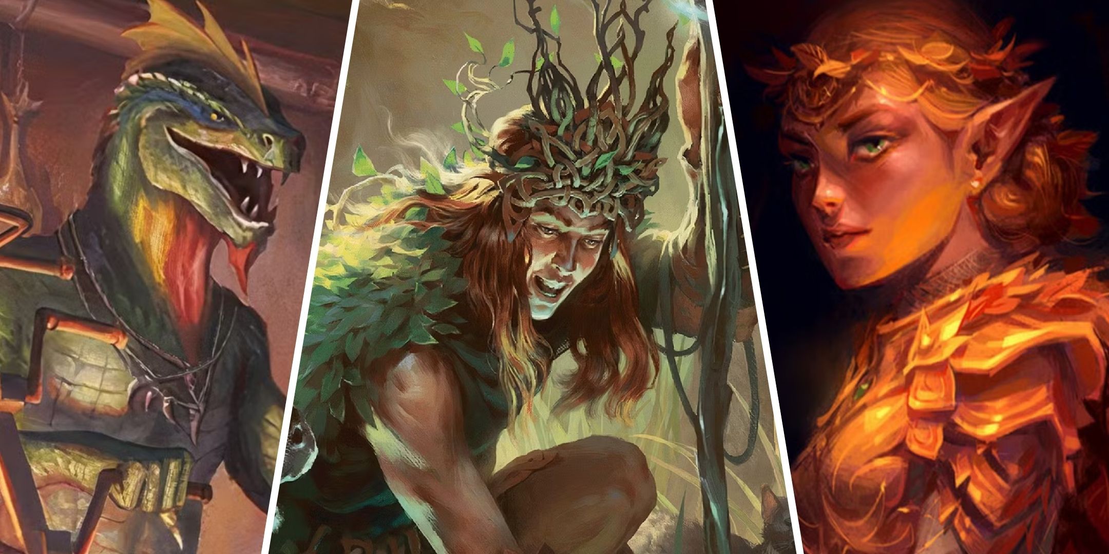 A Lizardfolk, a Human, and an Eladrin, from DnD.