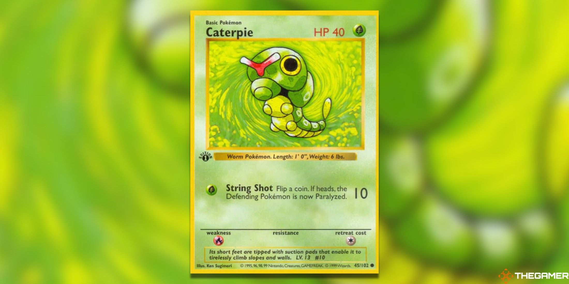 Pokemon TCG Most Valuable Common CardsPokemon TCG Most Valuable Common Cards First Edition Caterpie