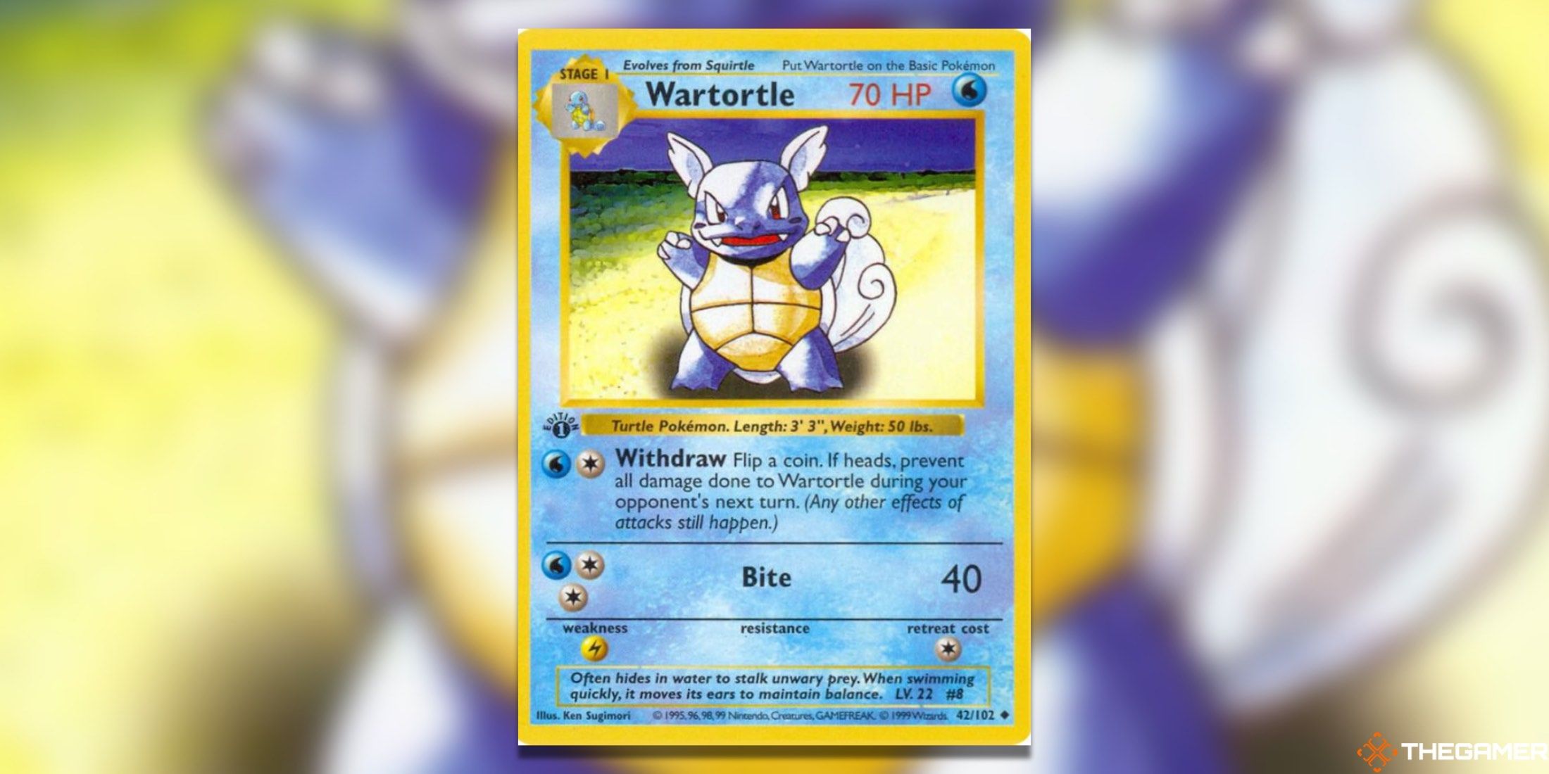 Pokemon TCG Most Valuable Uncommon Cards Wartortle Base Set