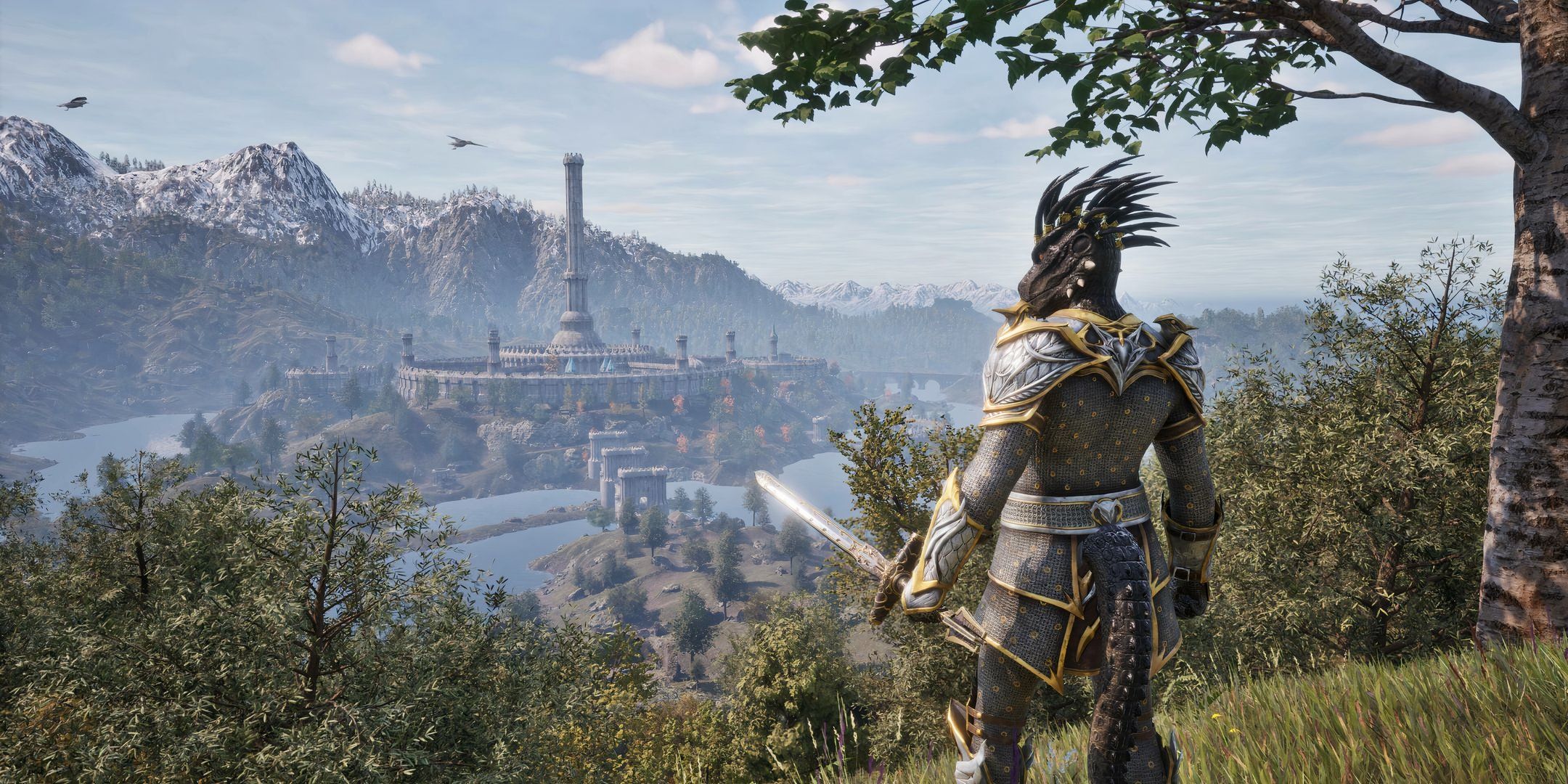 The player character looking over the province of Cyrodiil in Oblivion Remastered.