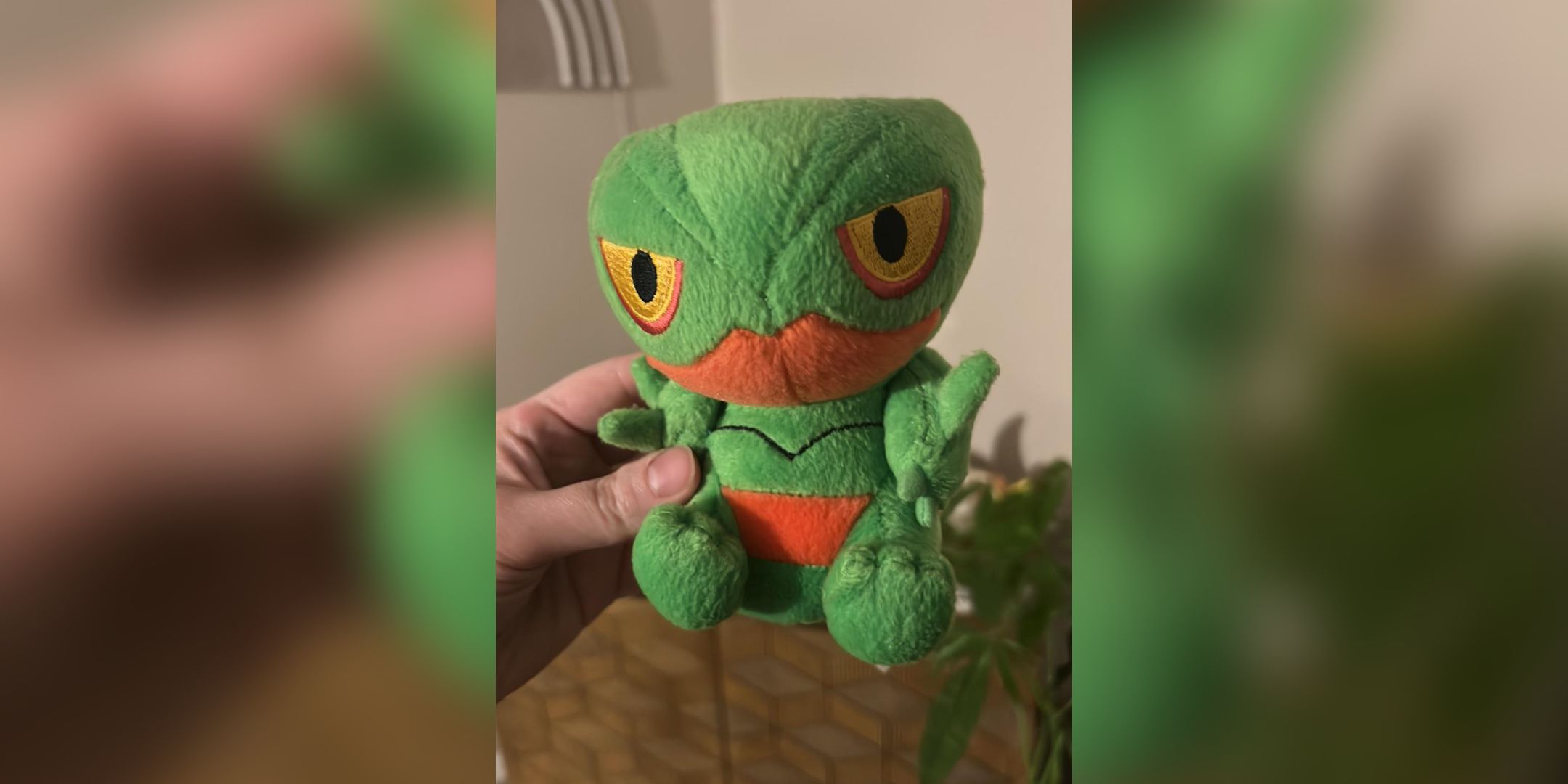 A person holding a 2004 sceptile plush.