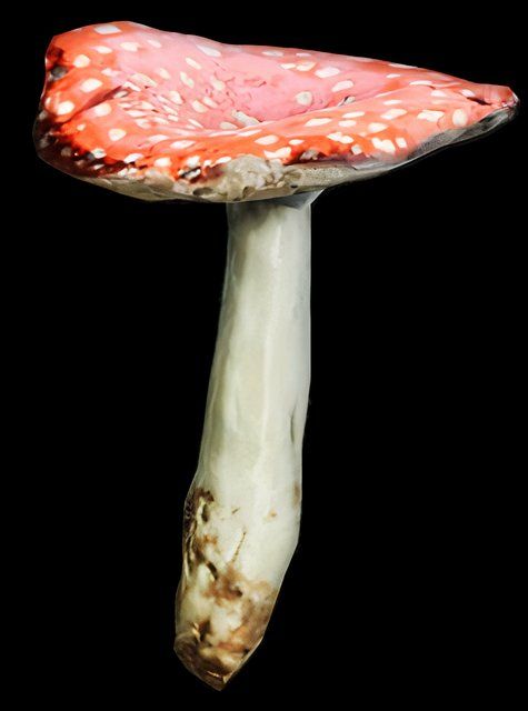 Amantia Muscaria Mushroom in SCUM.
