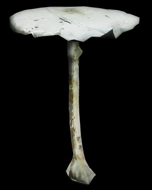 Amantia Virosa Mushroom in SCUM.