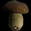 Boletus Edilus Musrhoom in SCUM.