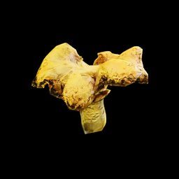 Cantharellus Cibarius Musrhoom in SCUM.