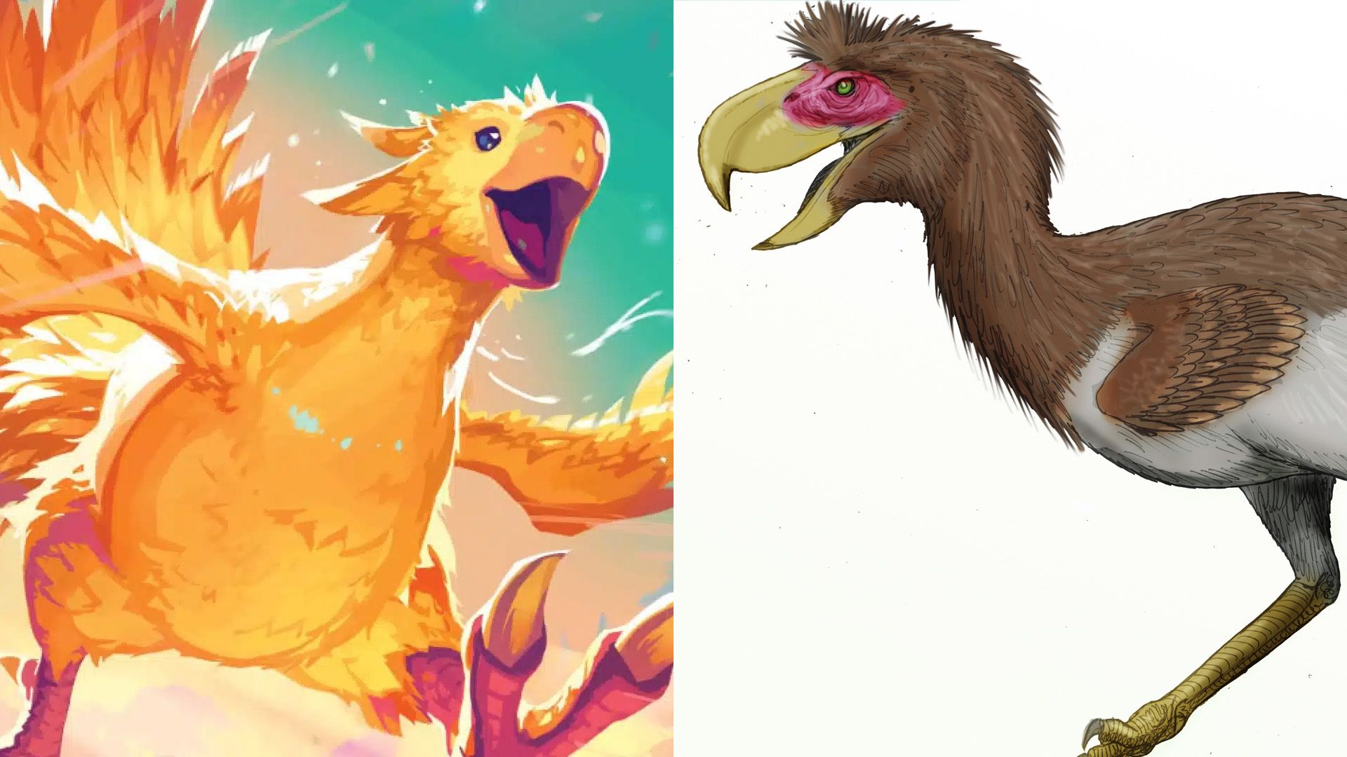 Chocobo from Final Fantasy on left side and a terror bird image on the right side.