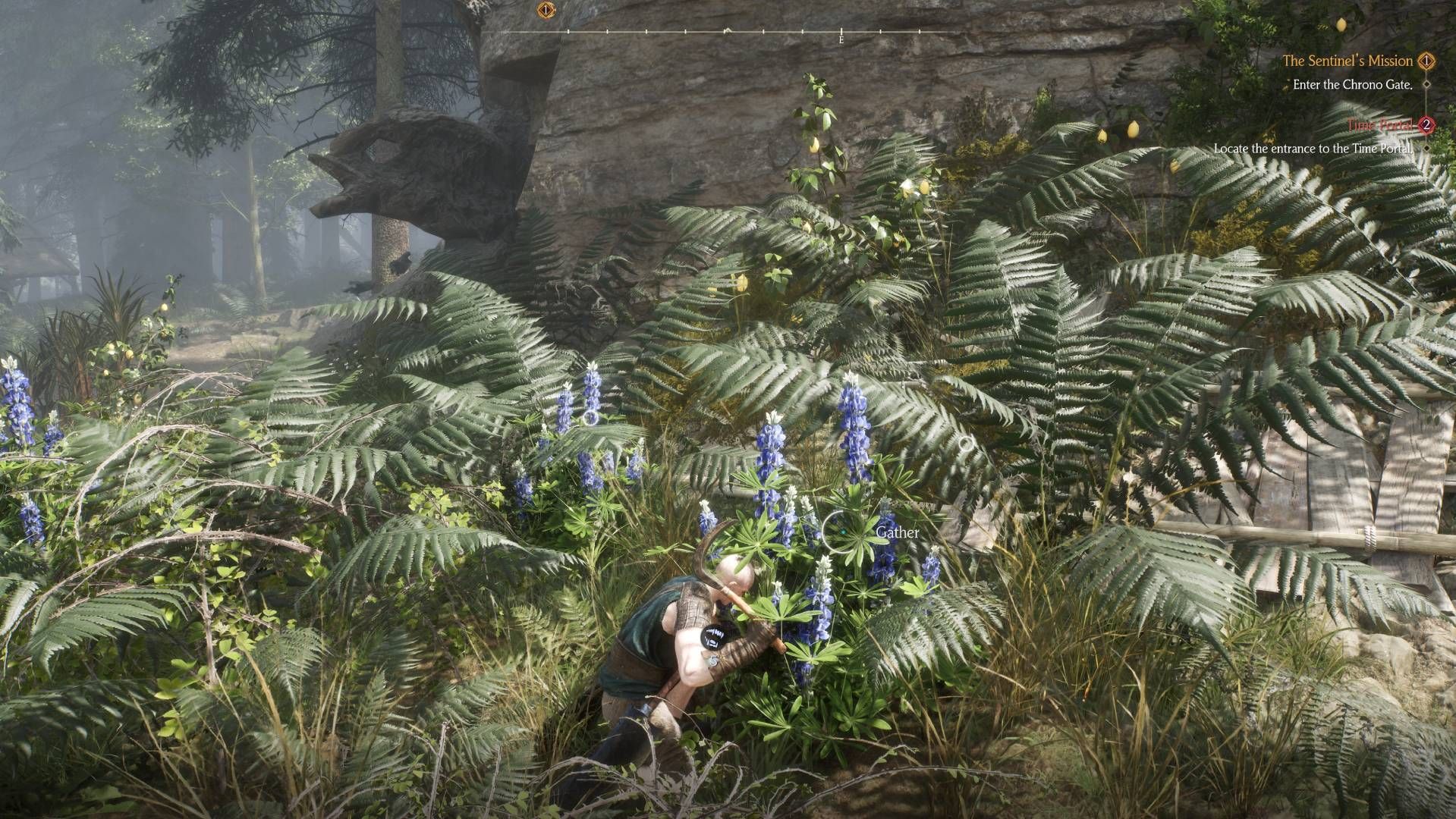 Chrono Odyssey collecting herbs in a dense vegetated area.