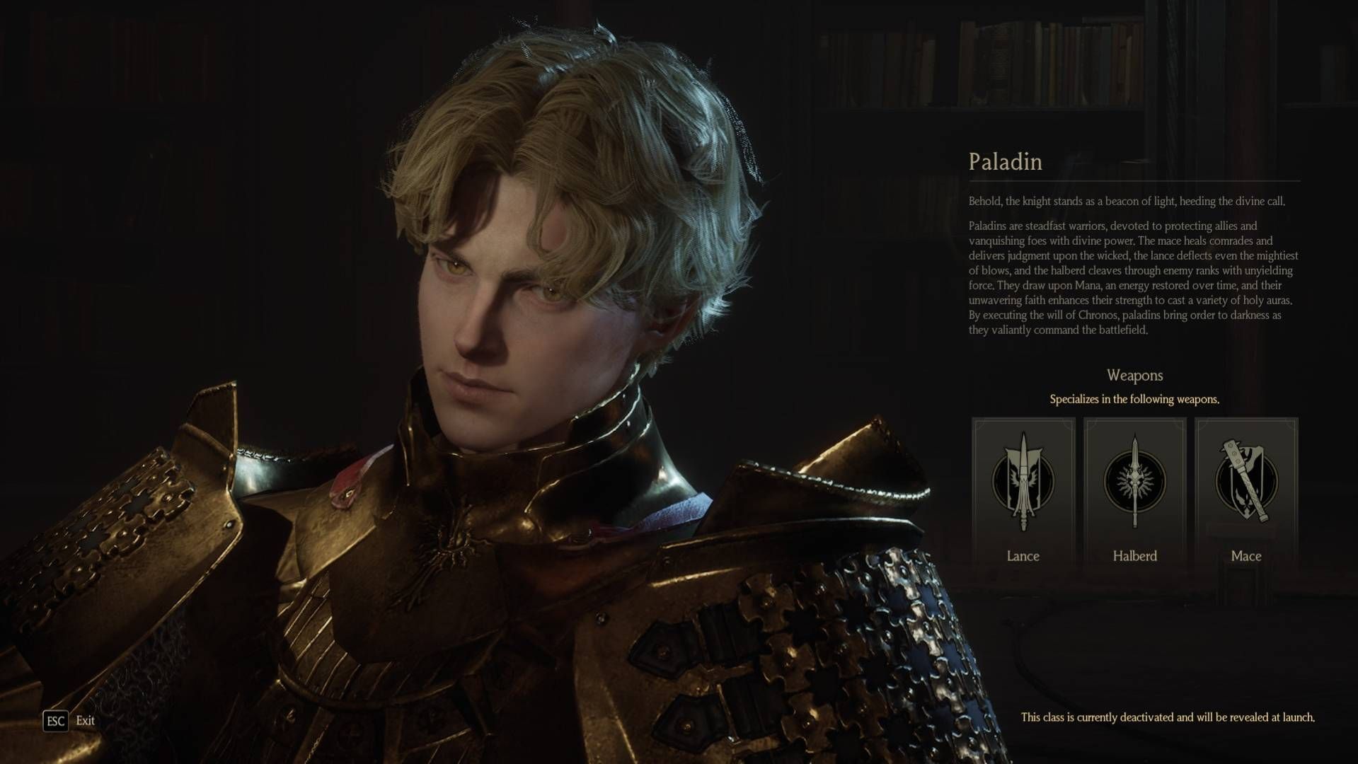 Chrono Odyssey, the Paladin class.-1