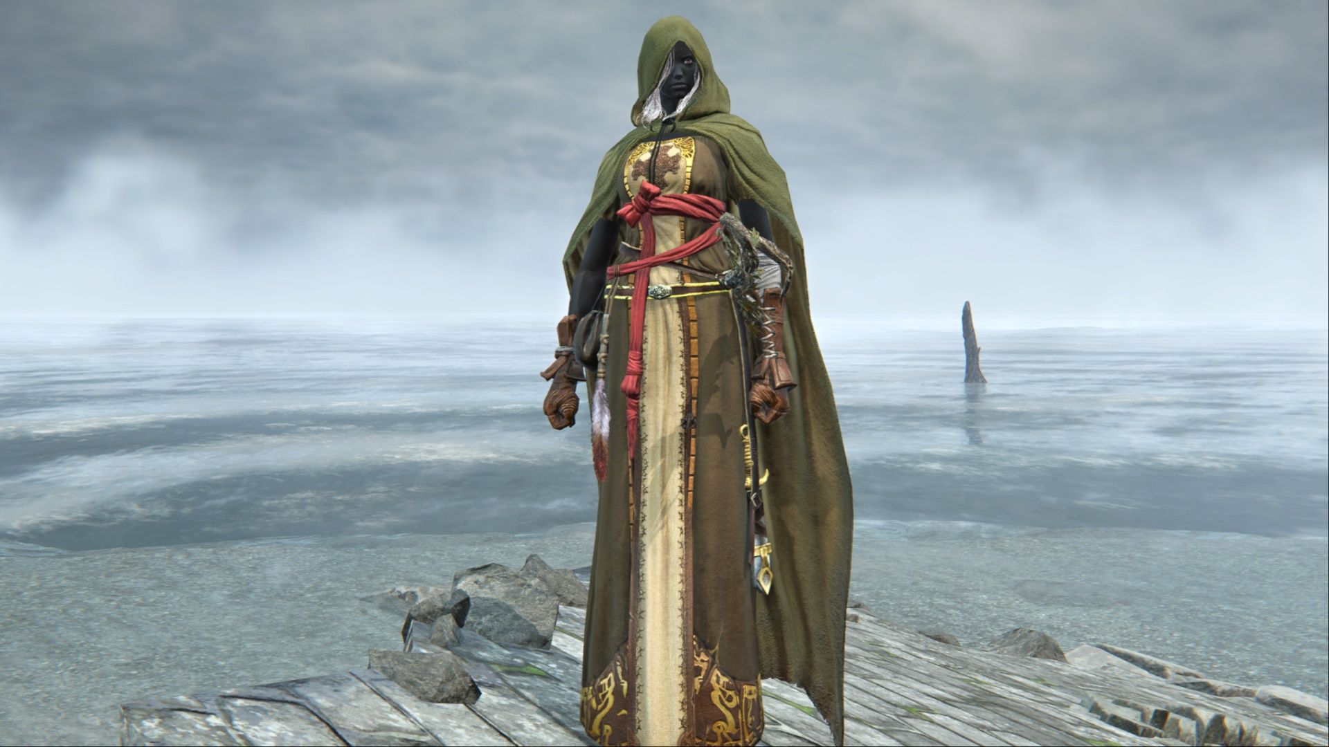 A look at the Emerald Fate skin for Recluse in Elden Ring Nightreign.