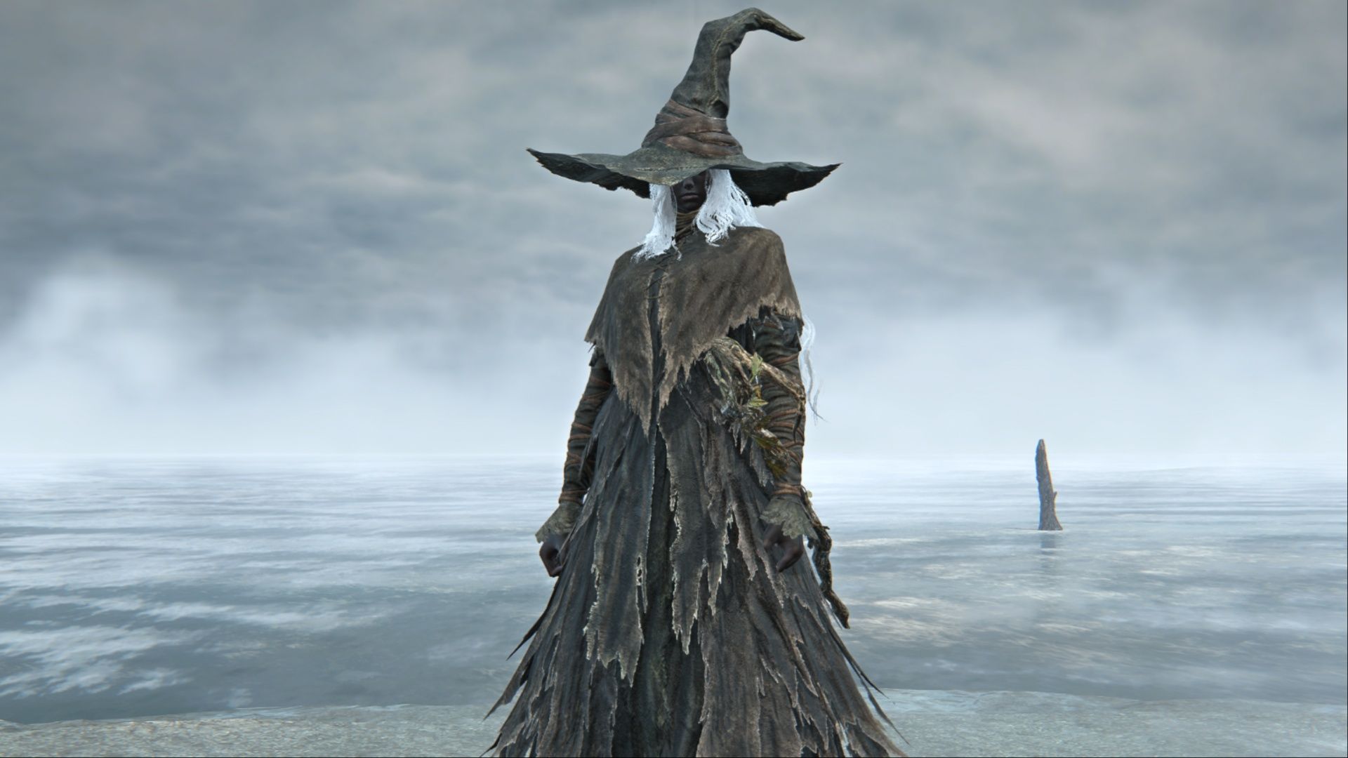 The Heretic Sorcerer skin for Recluse in Elden Ring Nightreign.