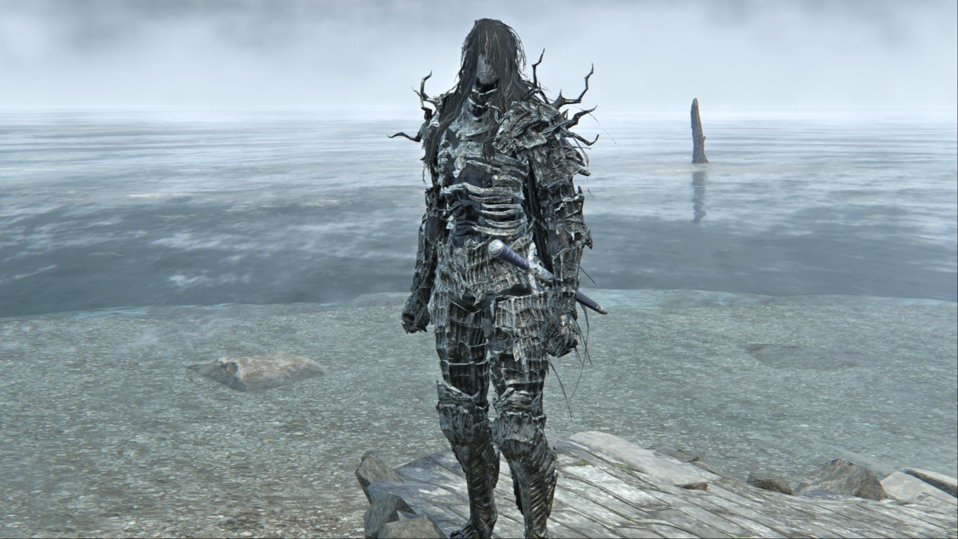 A look at the Wraith skin for Duchess in Elden Ring Nightreign.