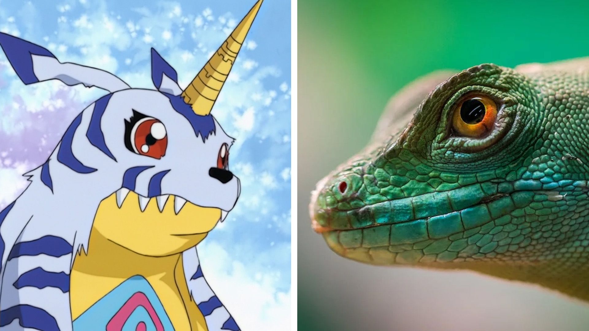 Gabumon from Digimon on the left side and a green reptile on the right side.