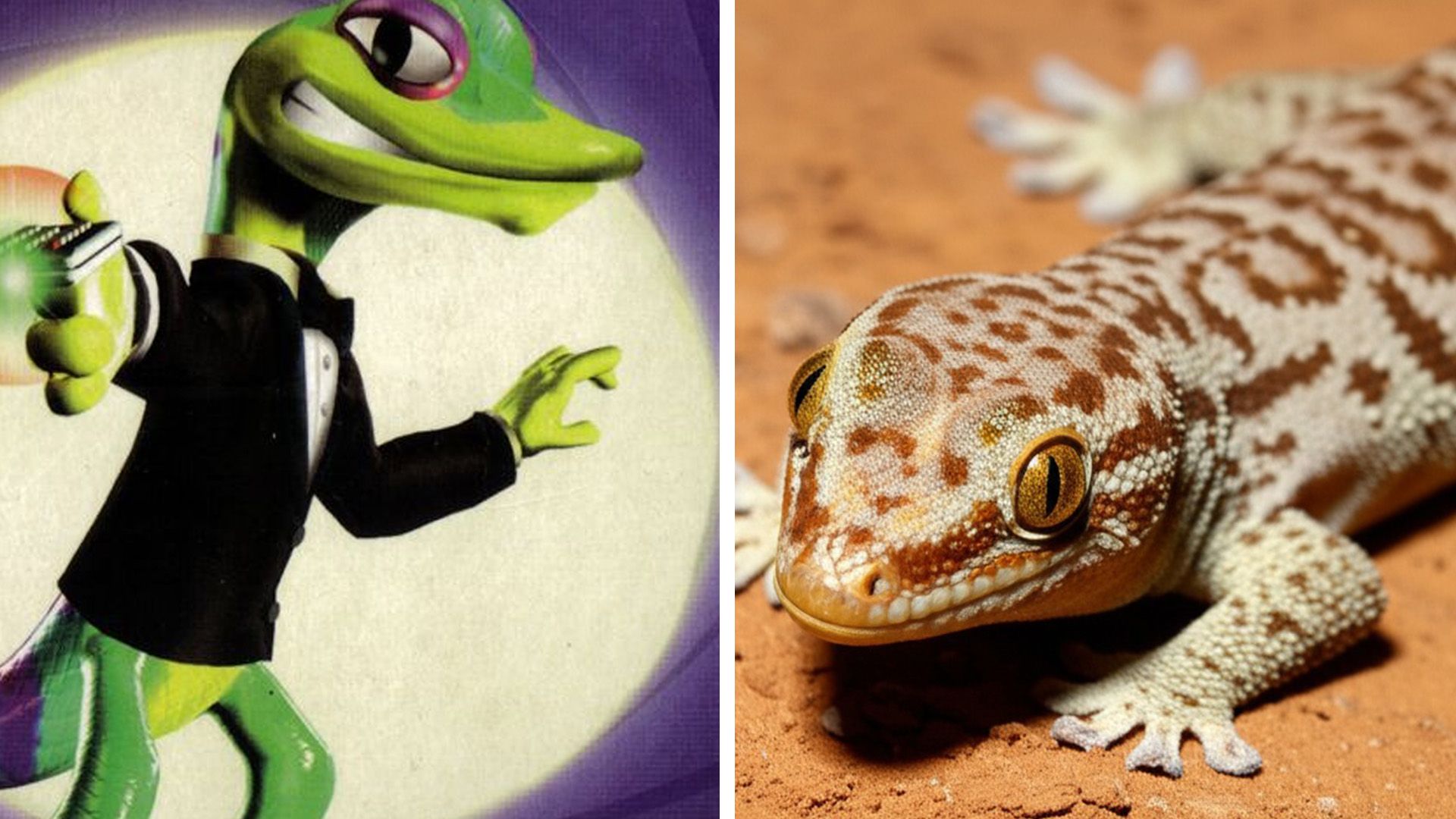 Gex from Gex - Enter The Gecko cover on the left side and a real gecko on the right side.